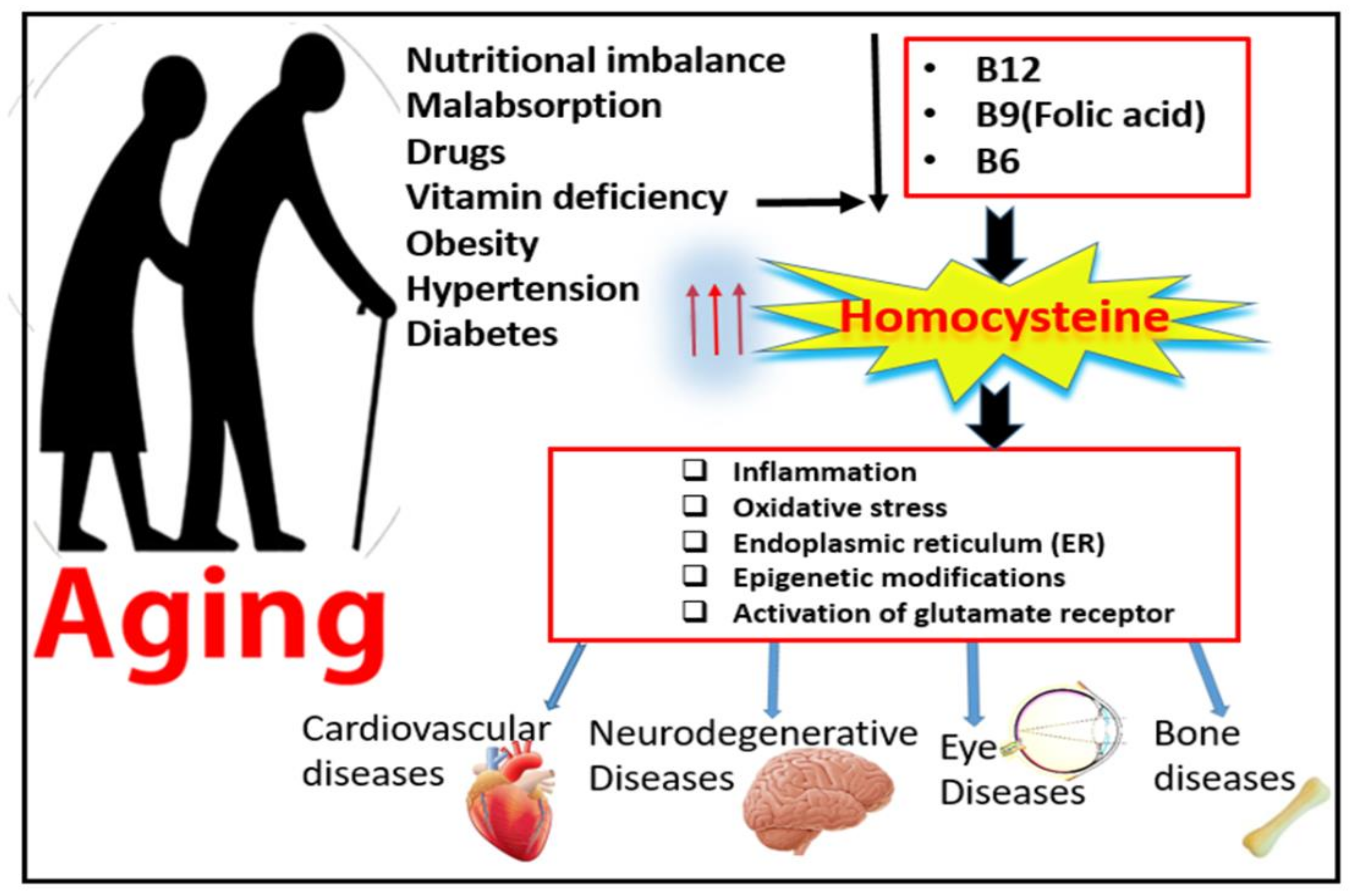 Vitamin D Toxicity - Symptoms, Diagnosis, Treatment : Dr. Zaidi