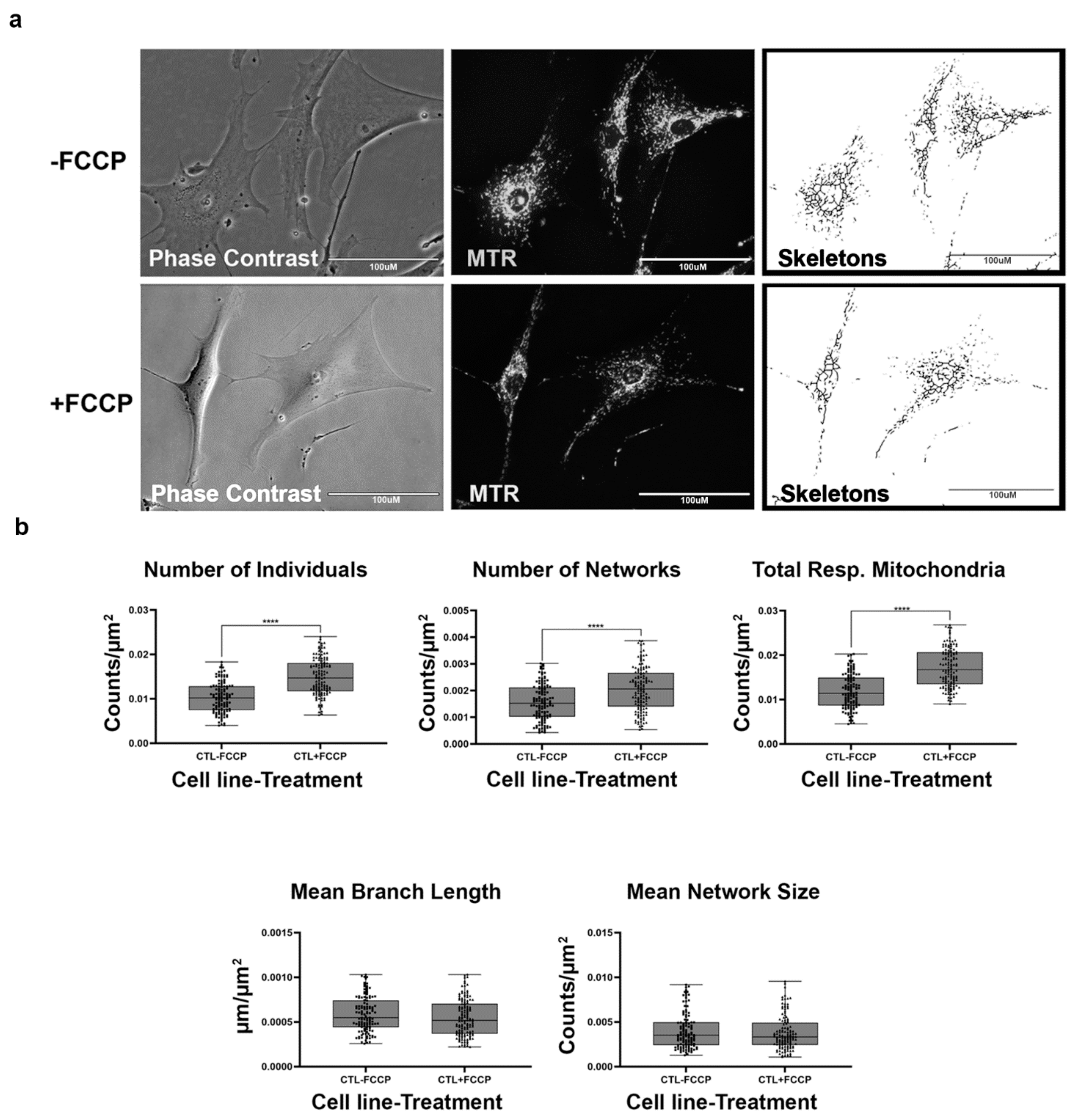 Ijms 22 06263 g002 Ijms 22 06263 g002