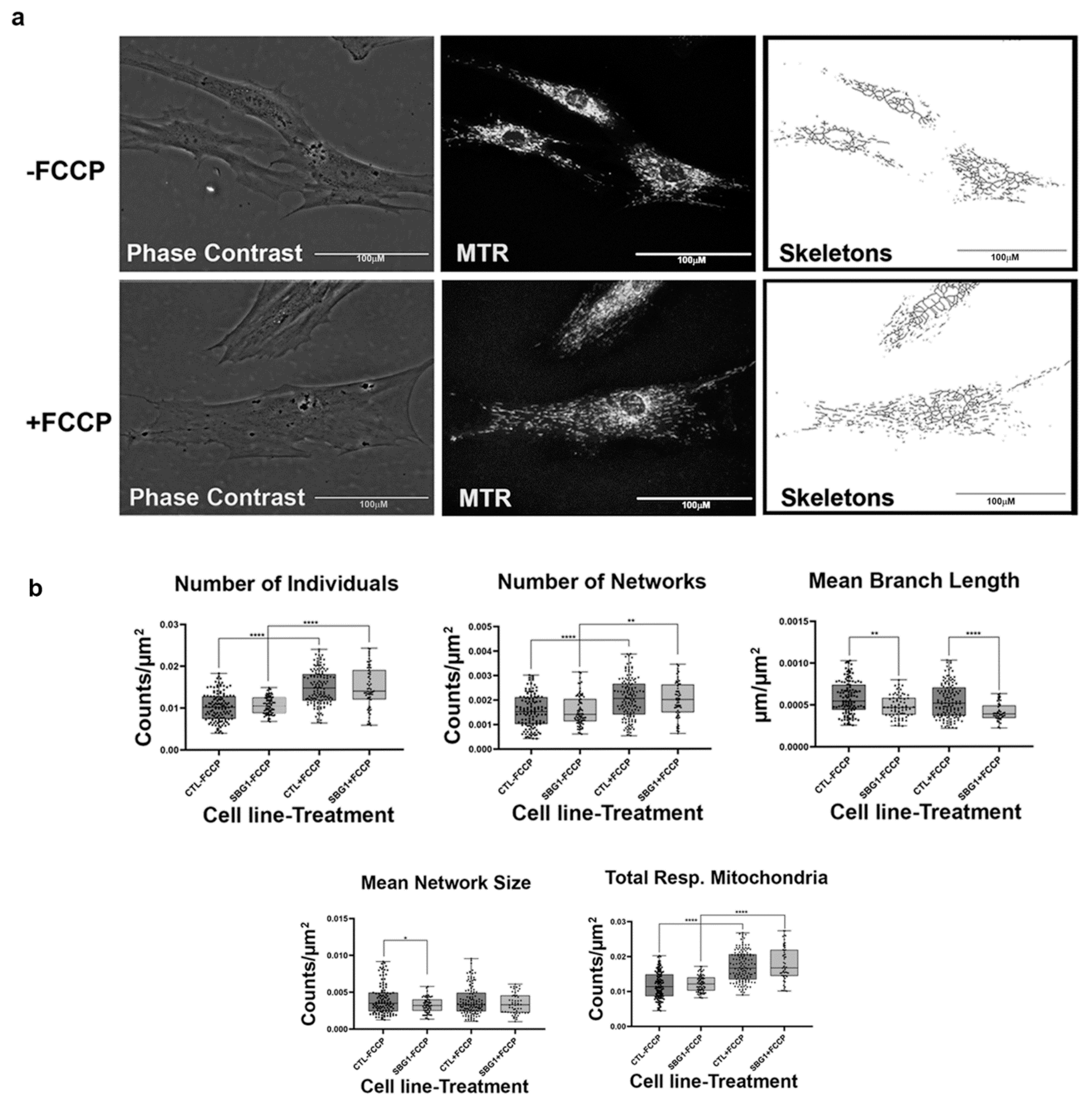 Ijms 22 06263 g003 Ijms 22 06263 g003