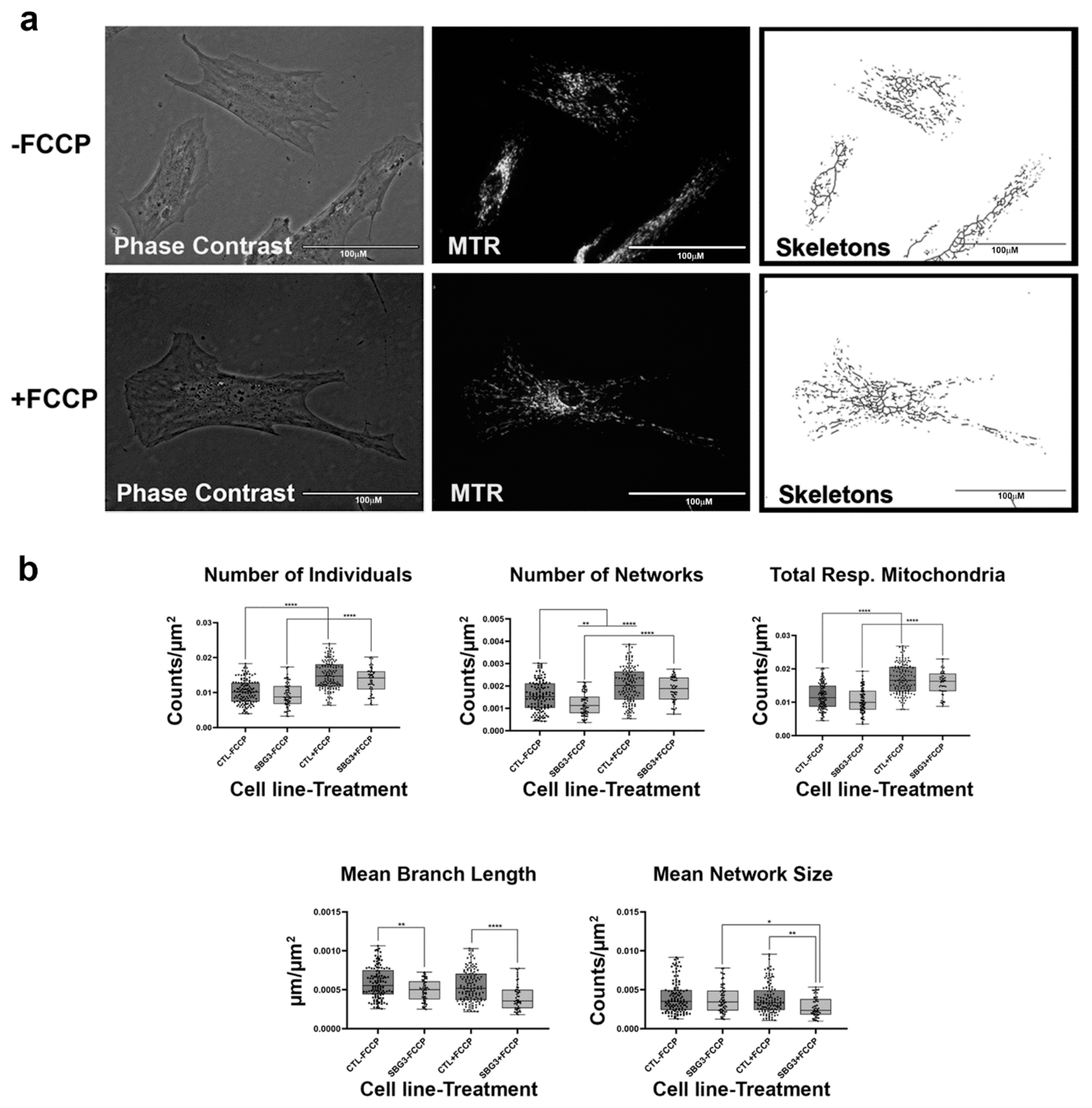 Ijms 22 06263 g005 Ijms 22 06263 g005