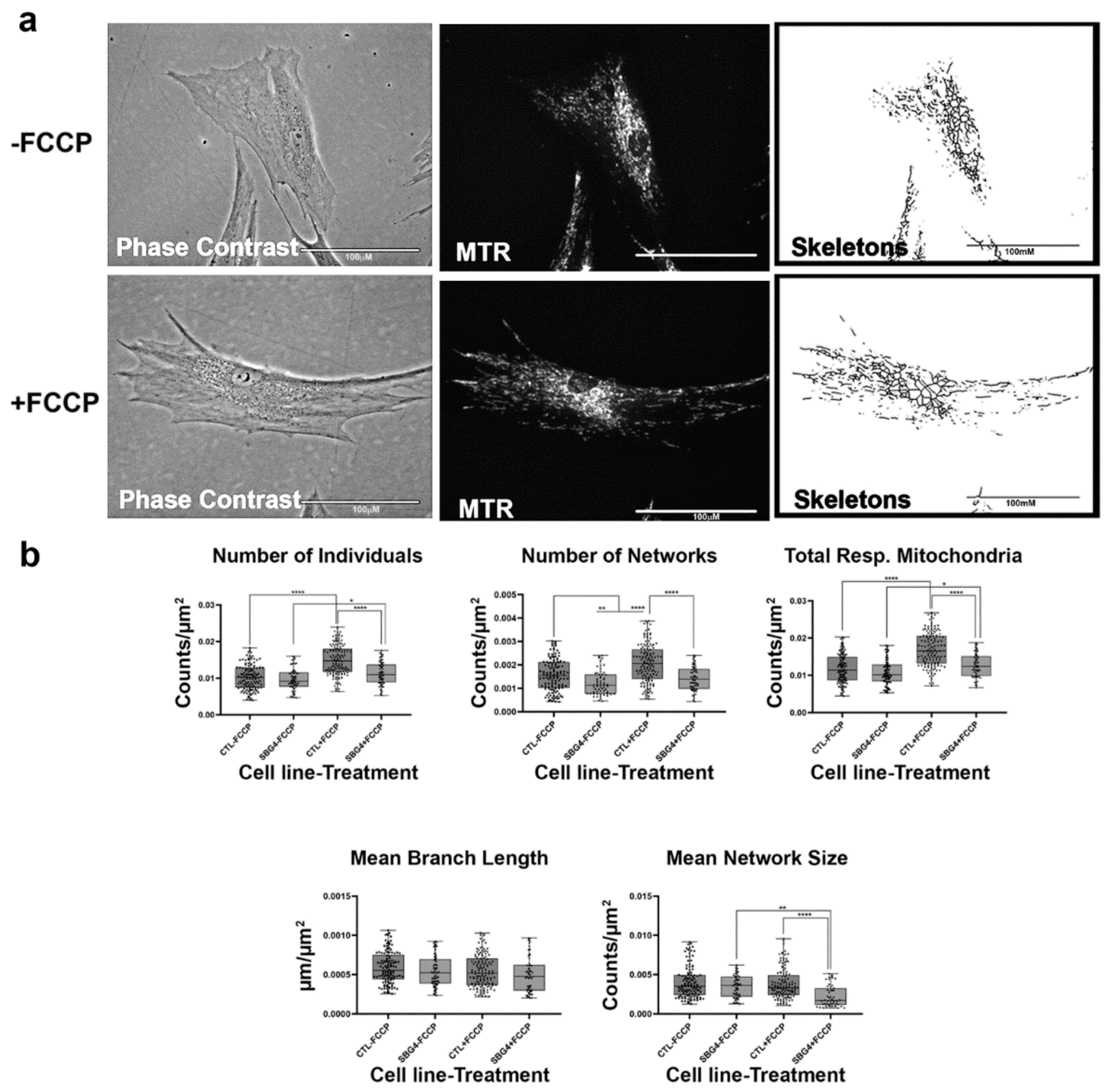 Ijms 22 06263 g006 Ijms 22 06263 g006
