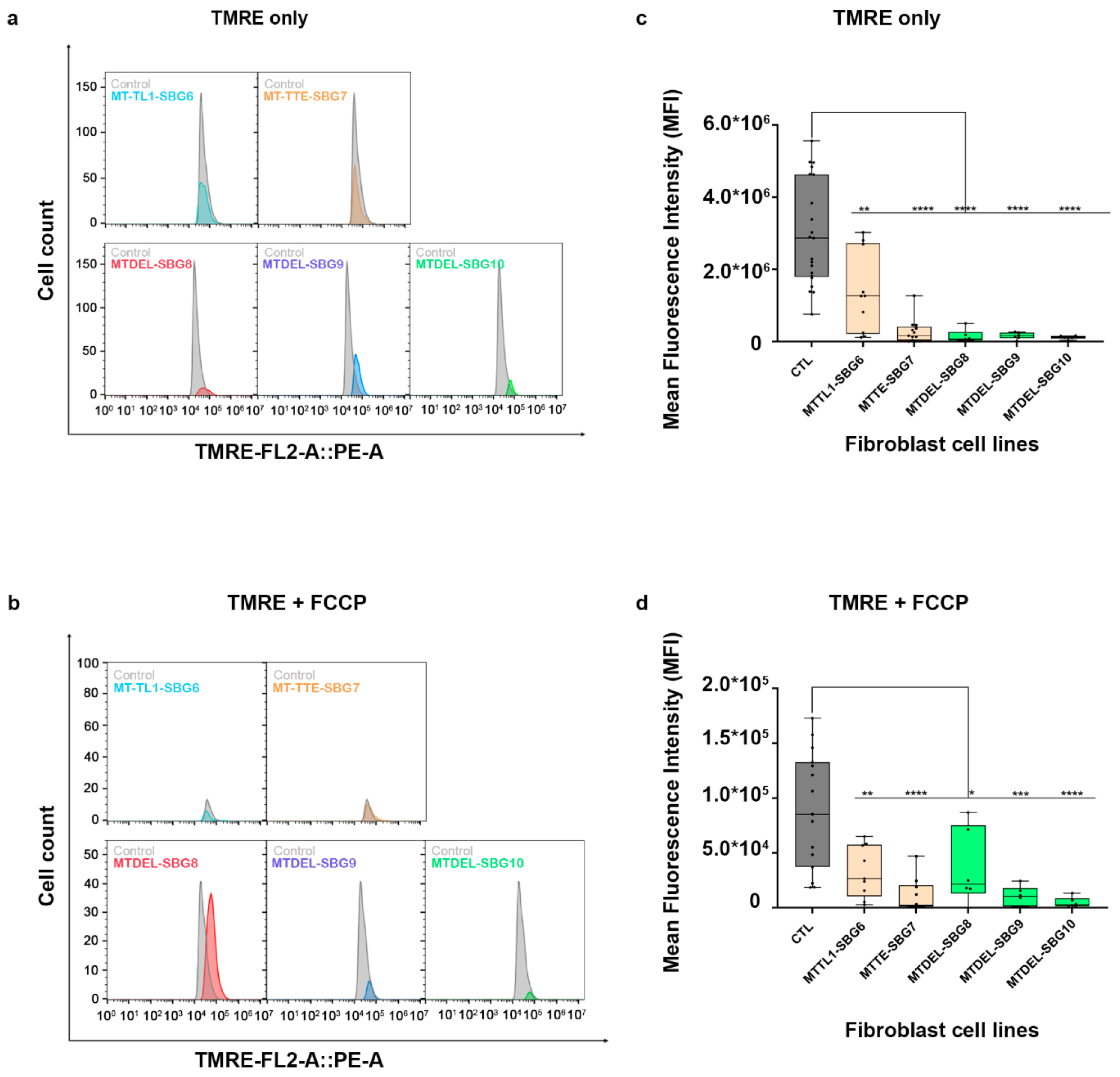 Ijms 22 06263 g014 Ijms 22 06263 g014