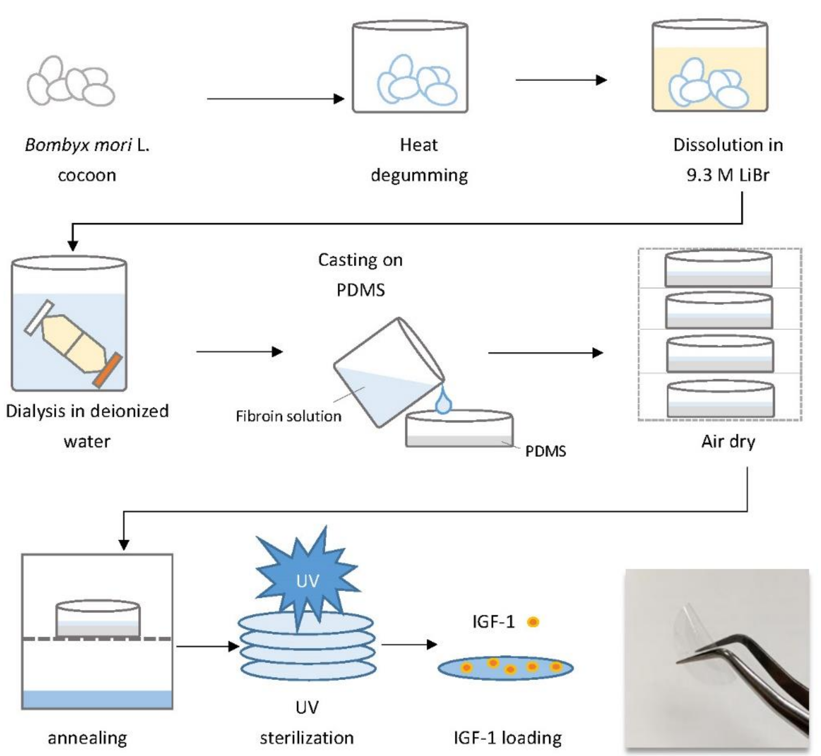 Ijms 22 06267 g001 Ijms 22 06267 g001