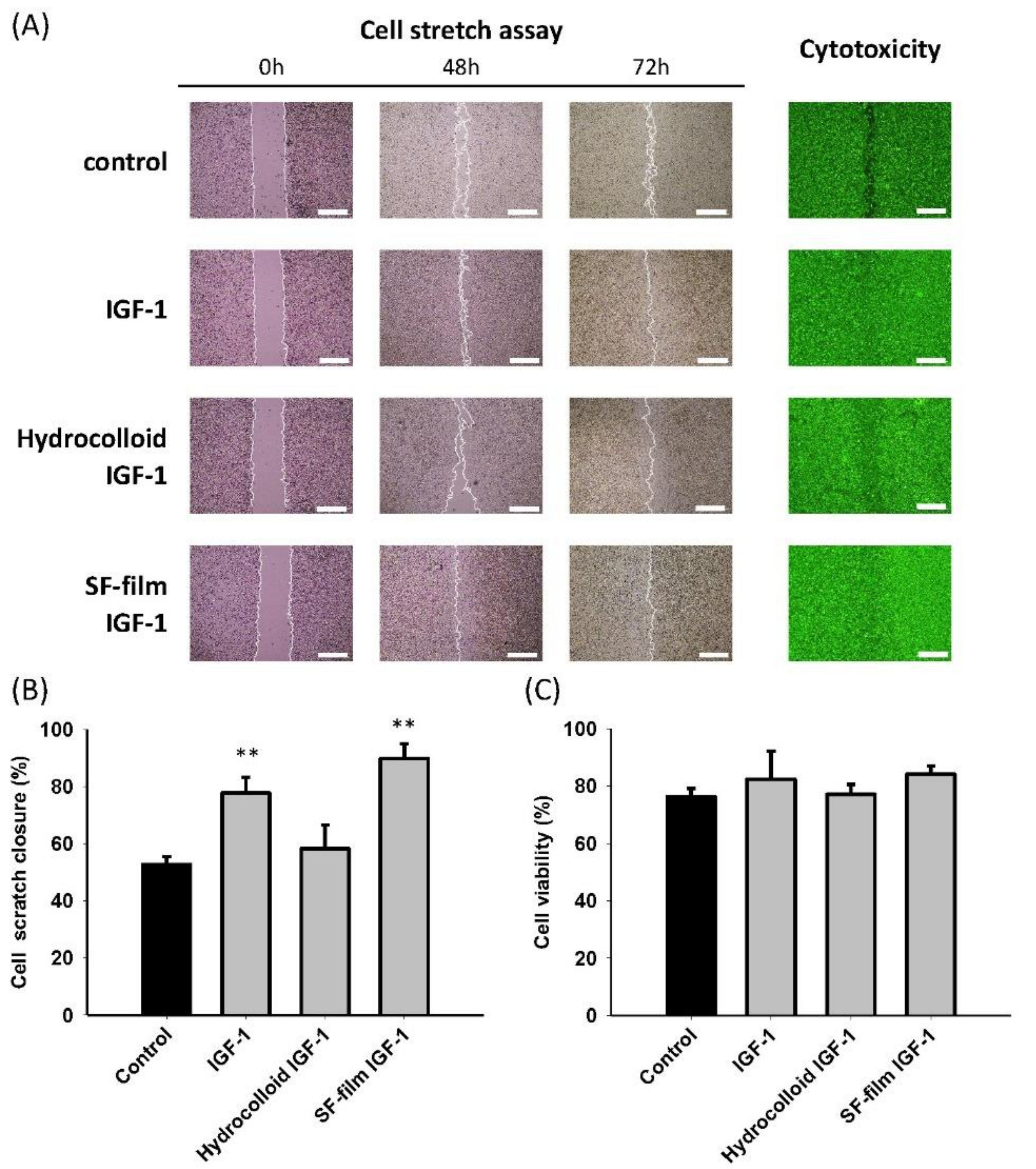 Ijms 22 06267 g003 Ijms 22 06267 g003