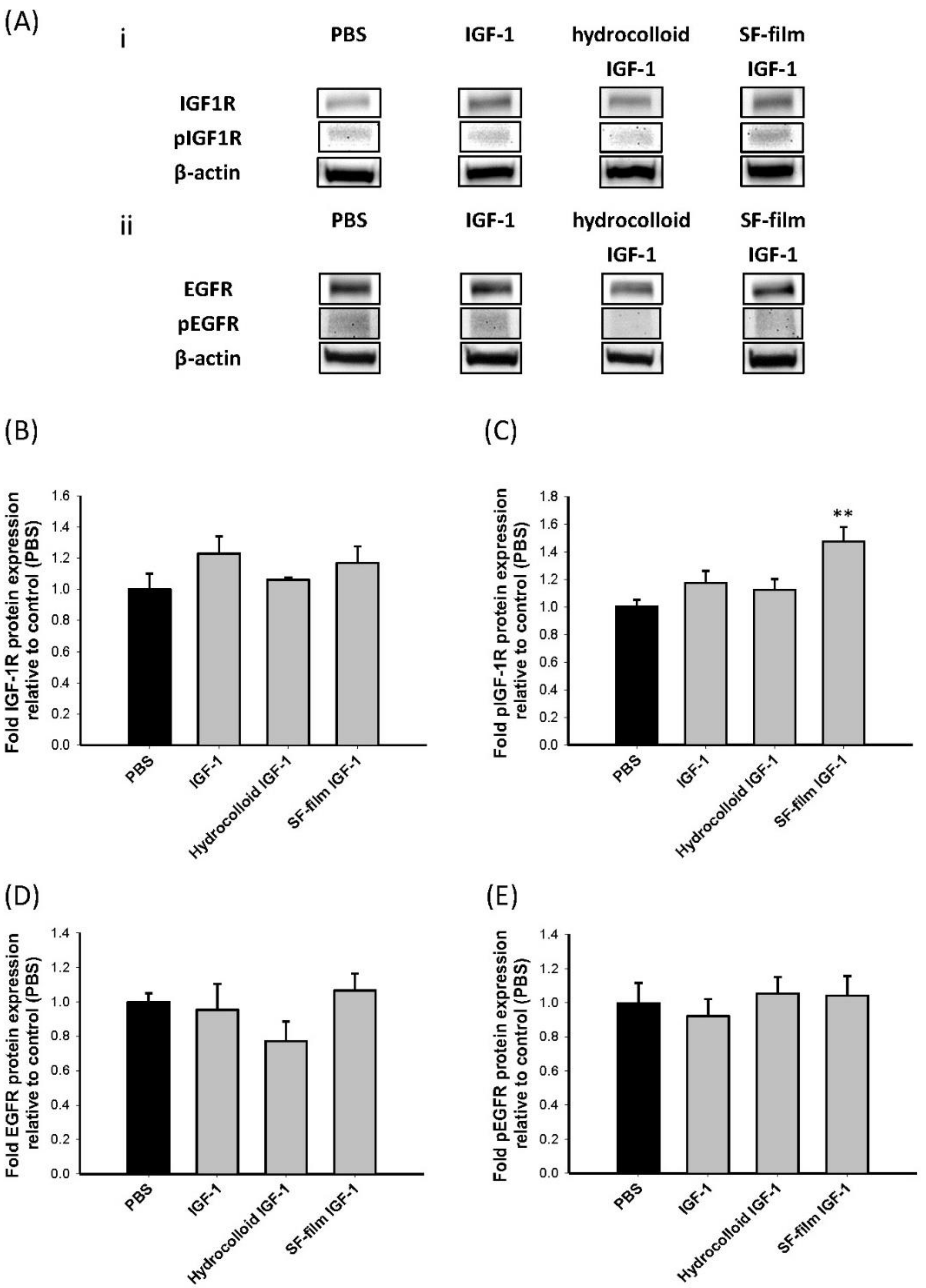 Ijms 22 06267 g007 Ijms 22 06267 g007
