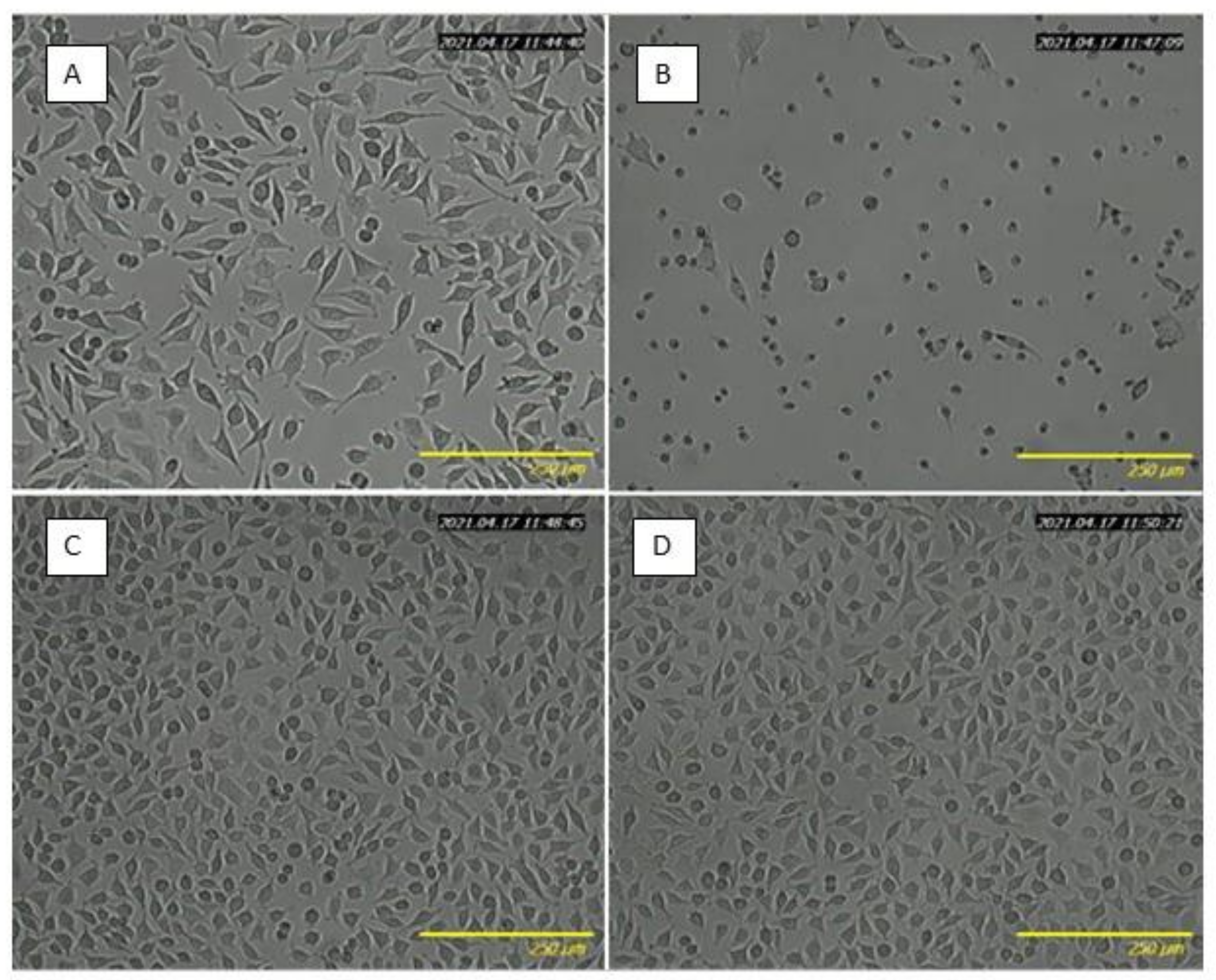 Ijms 22 06269 g007 Ijms 22 06269 g007