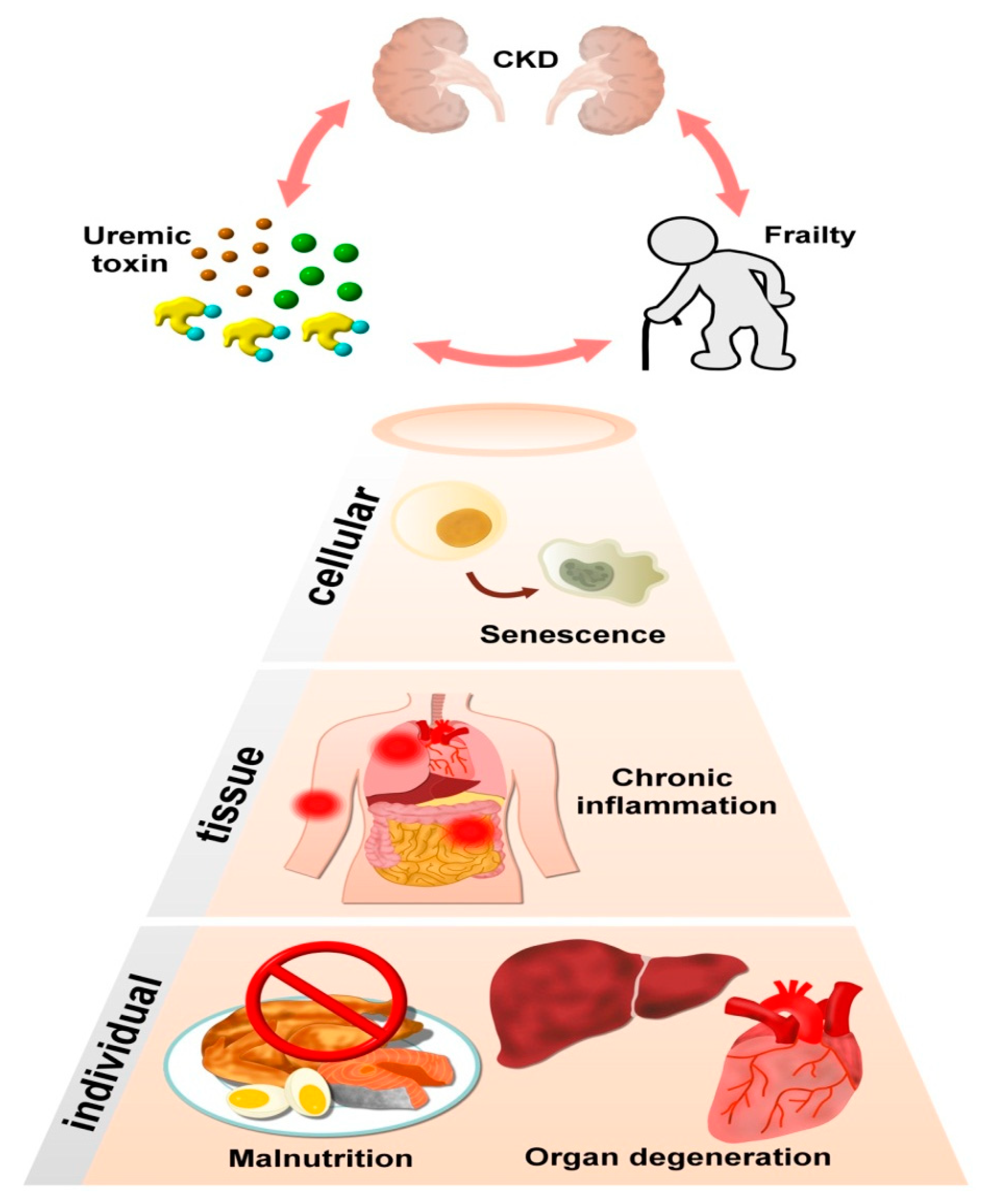 Ijms 22 06270 g001 Ijms 22 06270 g001