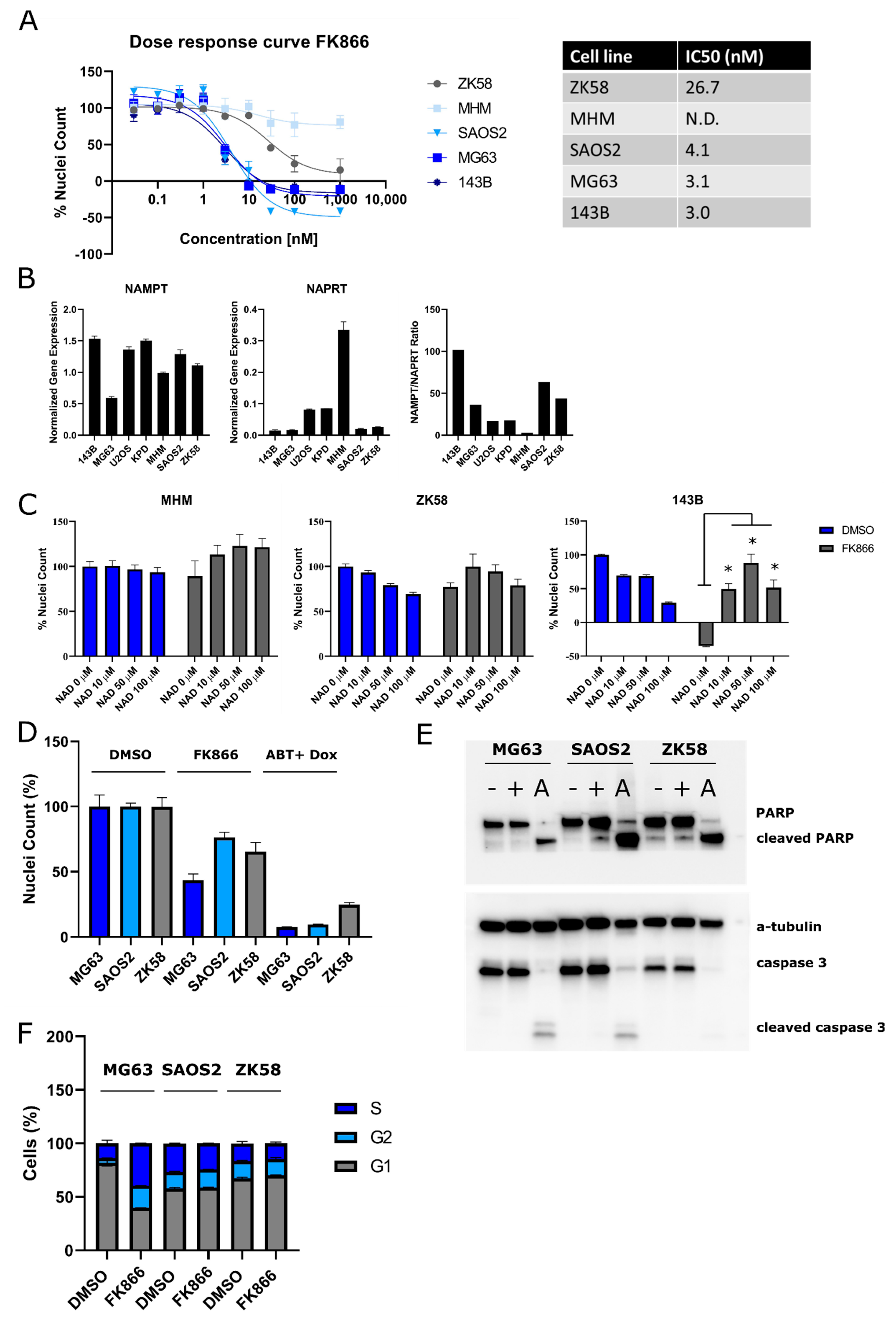 Ijms 22 06273 g002 Ijms 22 06273 g002
