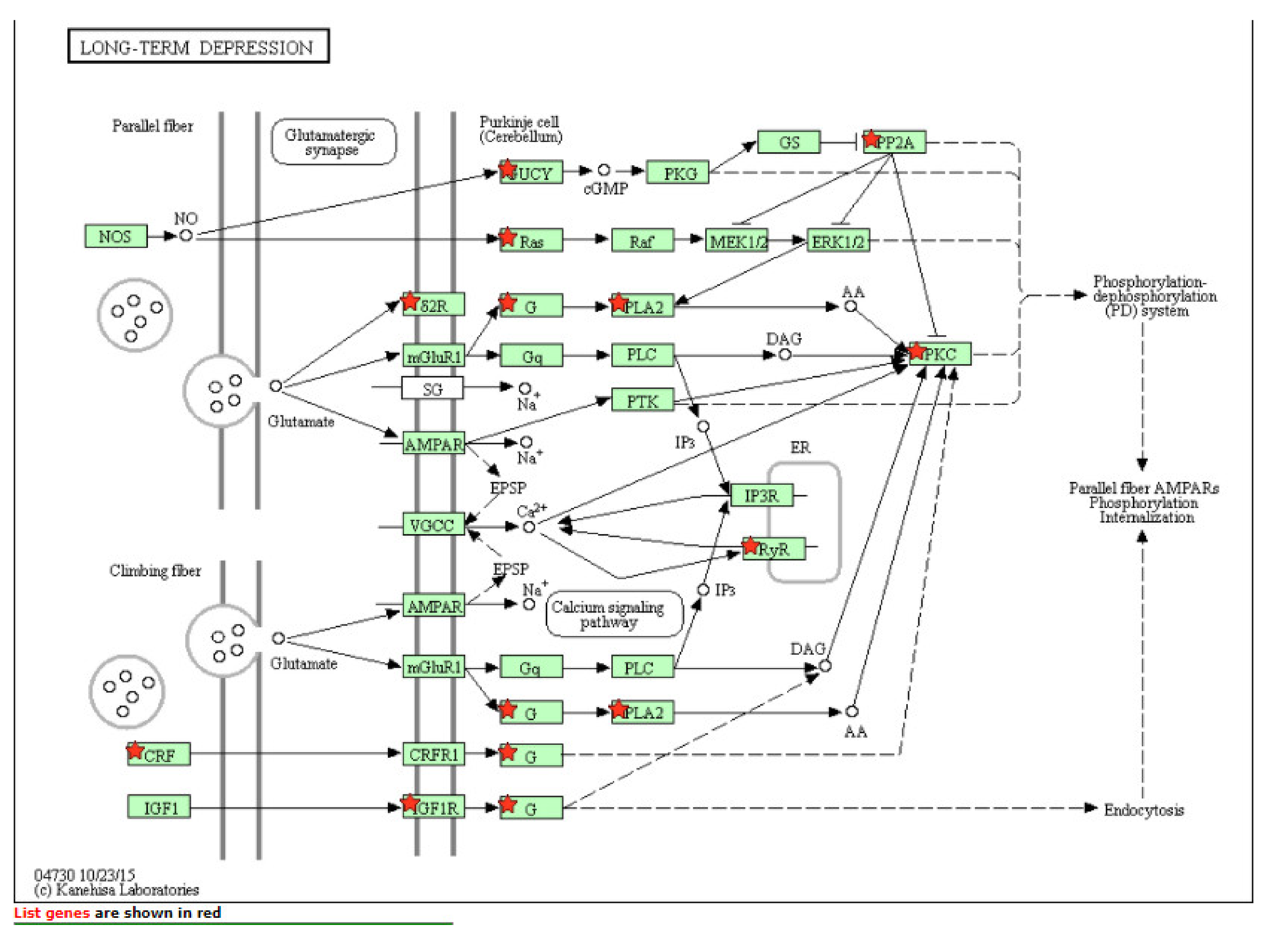 Ijms 22 06274 g001 Ijms 22 06274 g001
