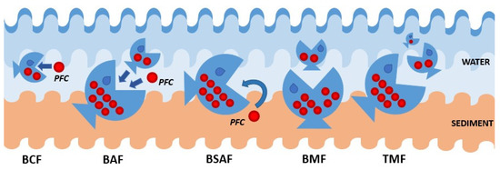 Bioaccumulation, Biodistribution, Toxicology and Biomonitoring of