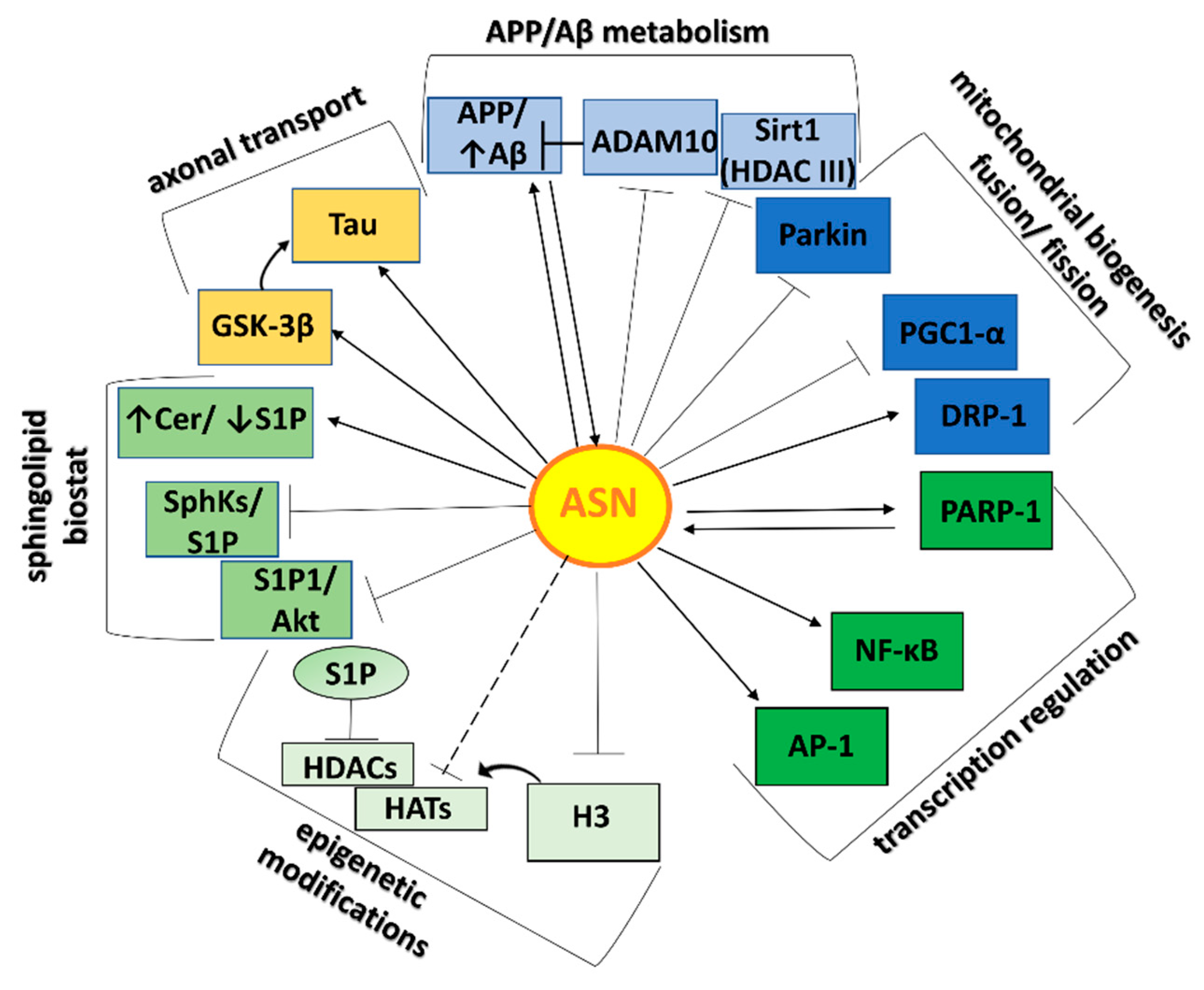 Ijms 22 06277 g002 Ijms 22 06277 g002