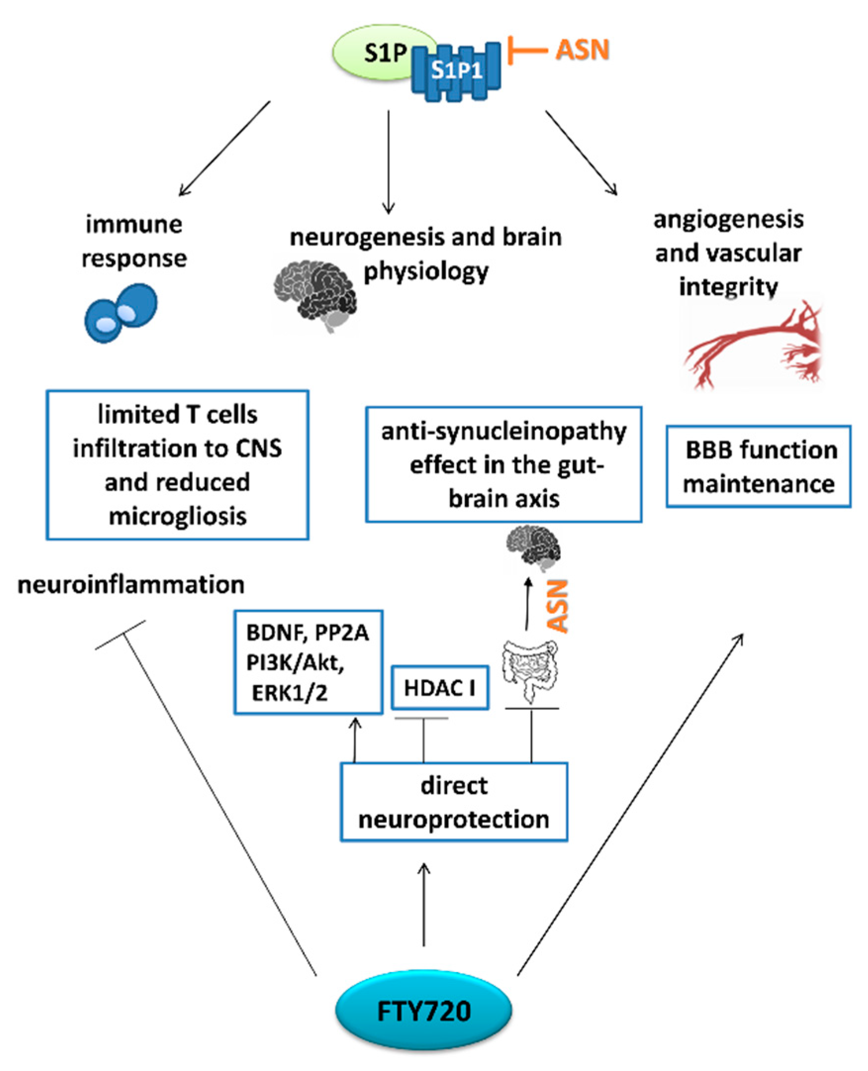 Ijms 22 06277 g005 Ijms 22 06277 g005