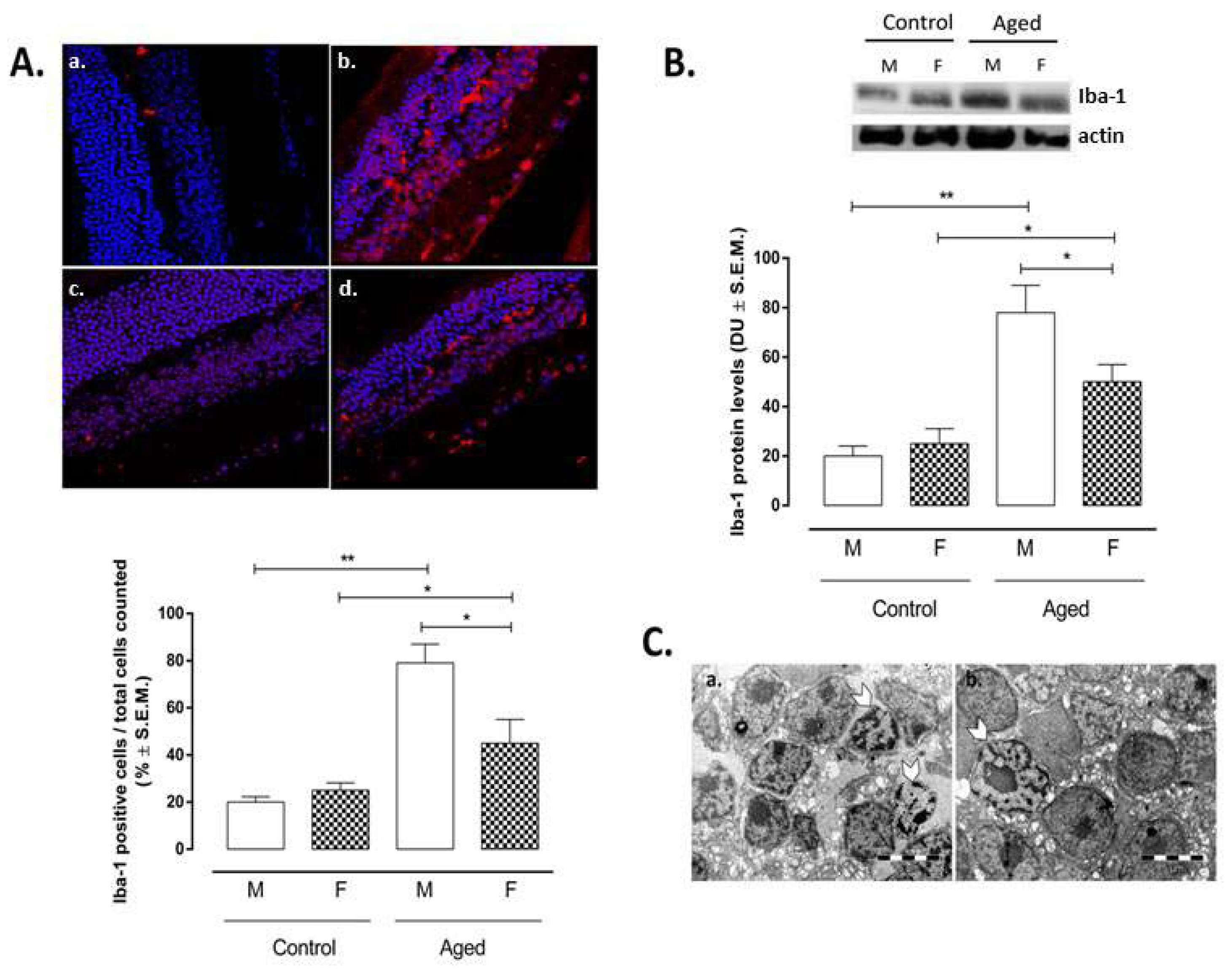 Ijms 22 06280 g002 Ijms 22 06280 g002