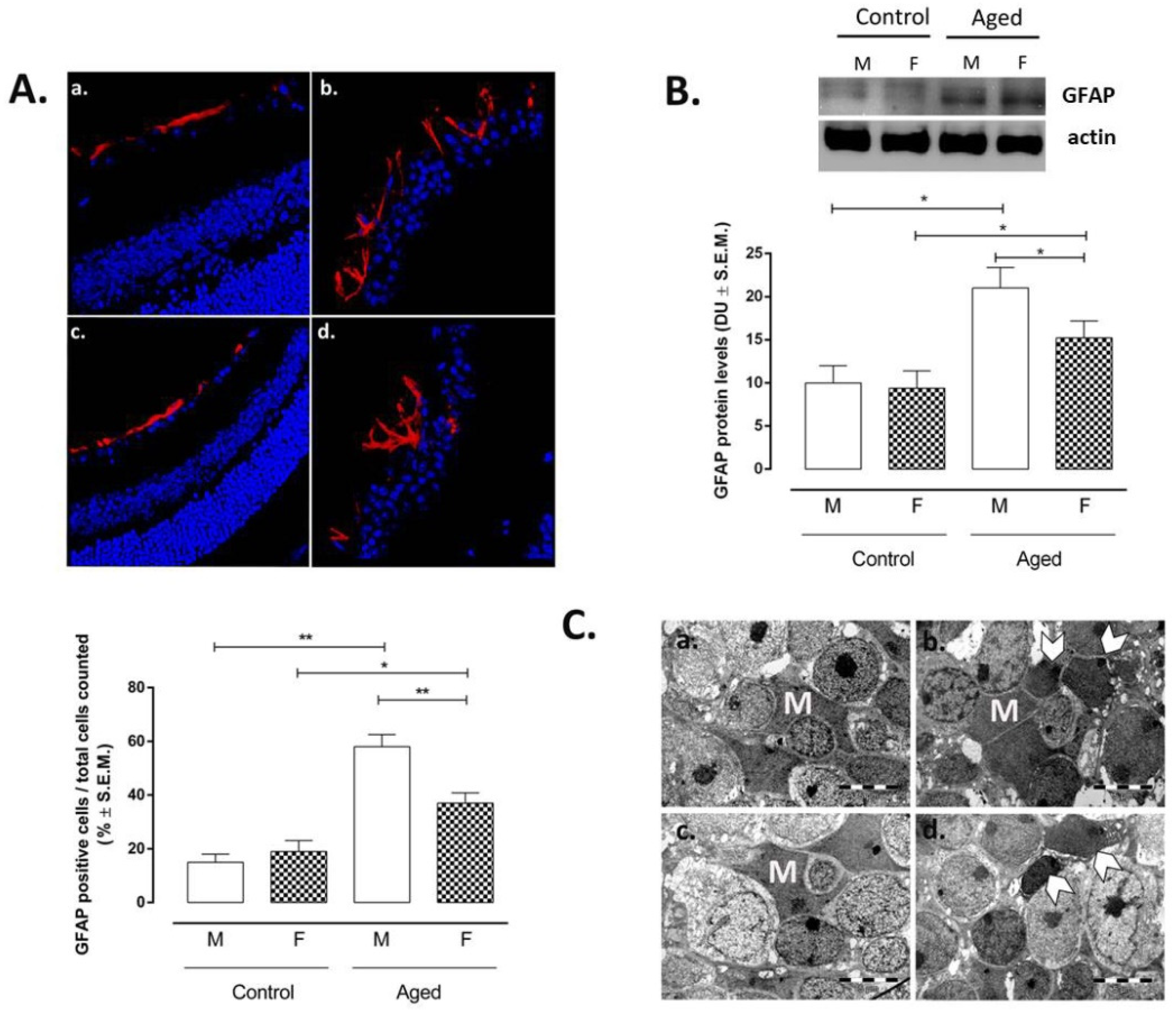 Ijms 22 06280 g003 Ijms 22 06280 g003