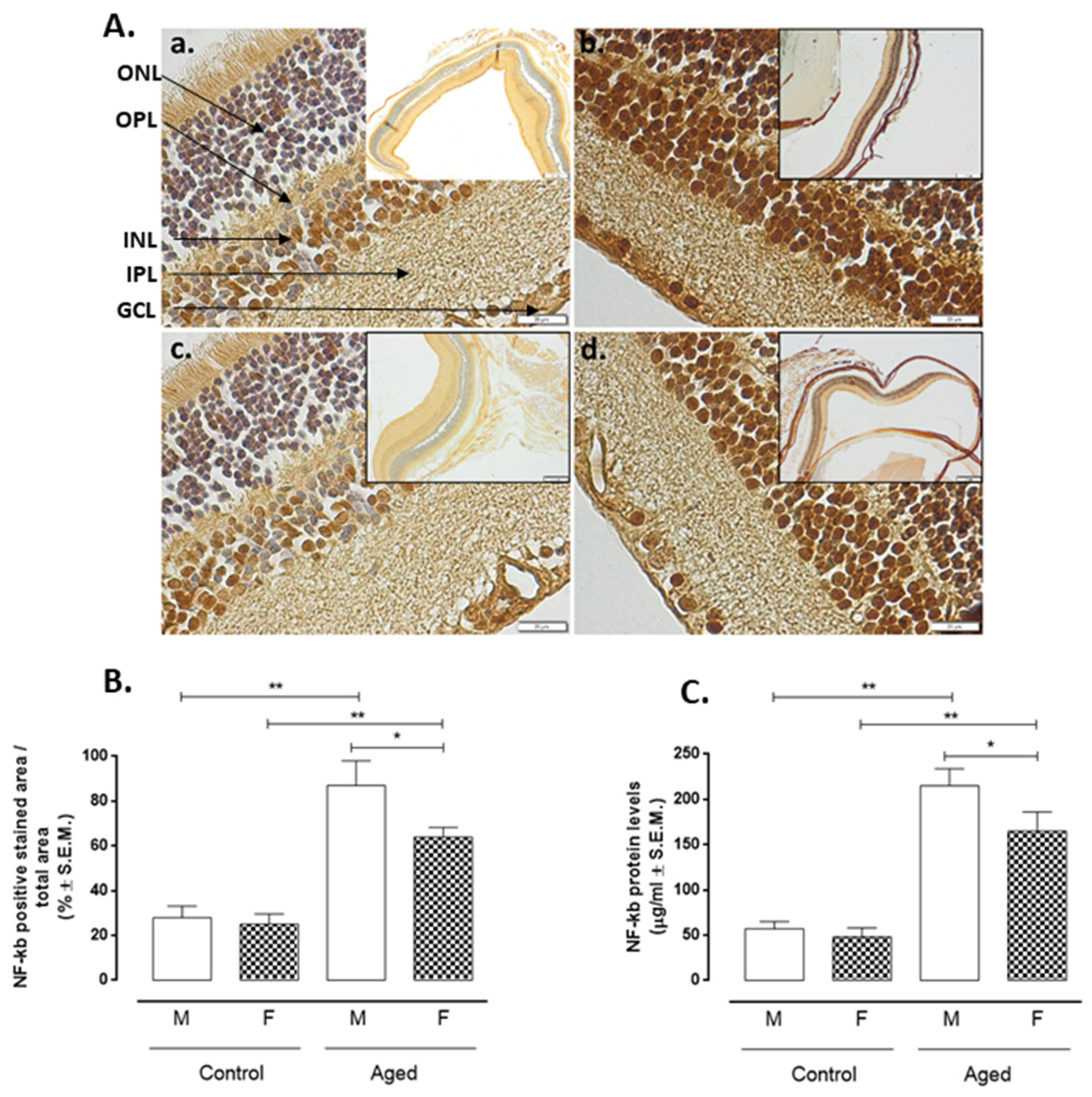 Ijms 22 06280 g004 Ijms 22 06280 g004