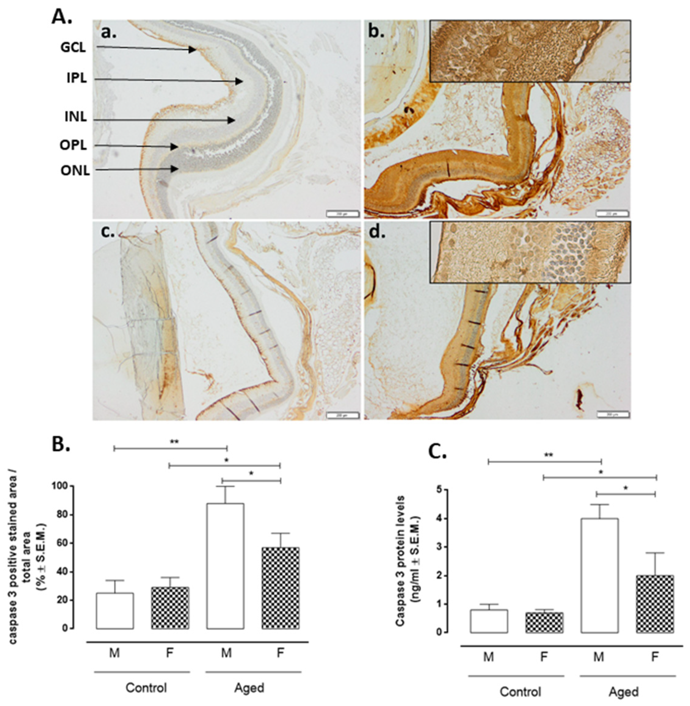 Ijms 22 06280 g006 Ijms 22 06280 g006
