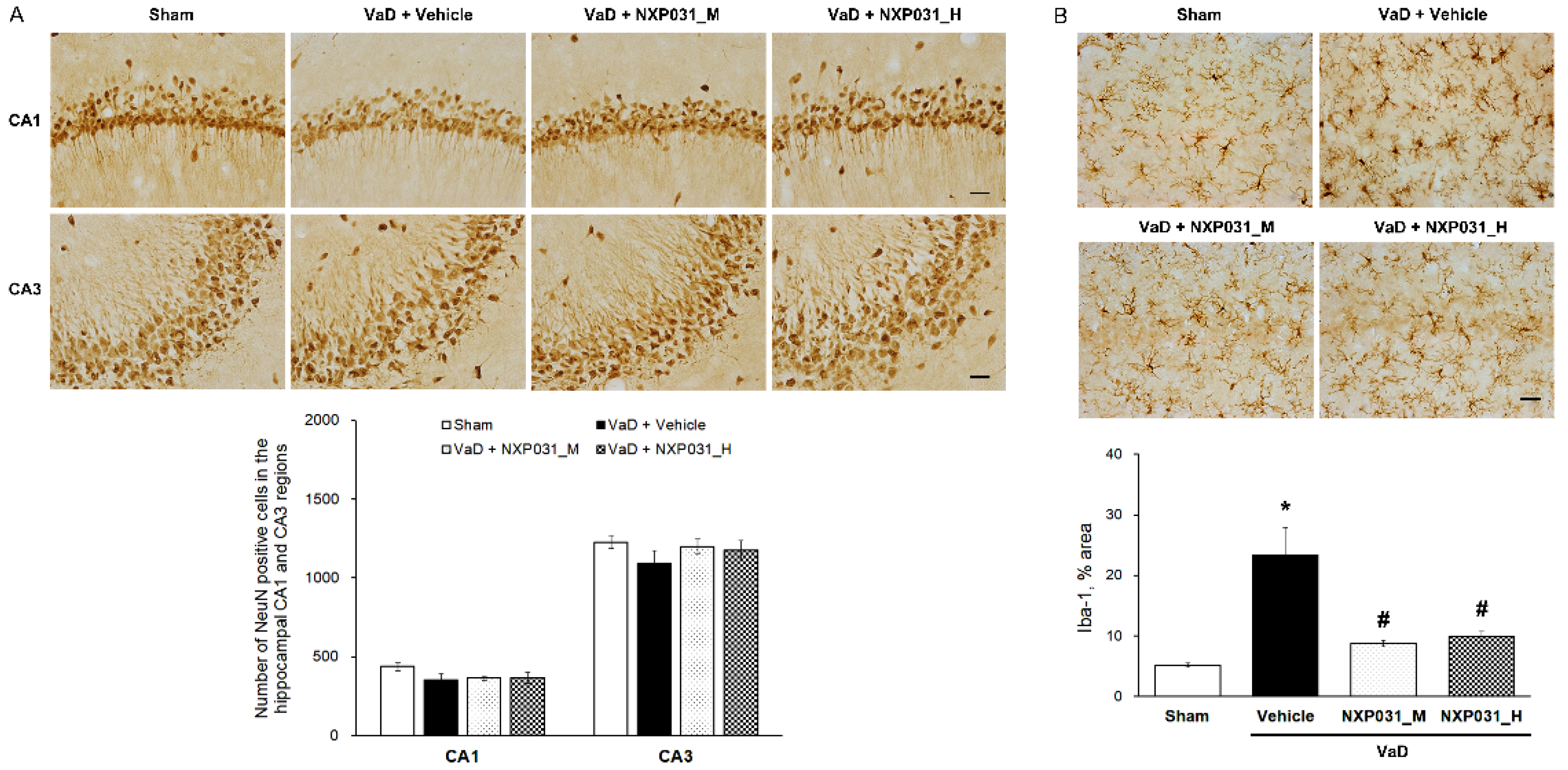 Ijms 22 06285 g002 Ijms 22 06285 g002