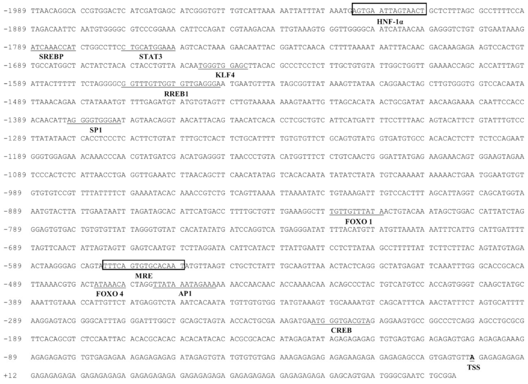 Ijms 22 06291 g001 Ijms 22 06291 g001