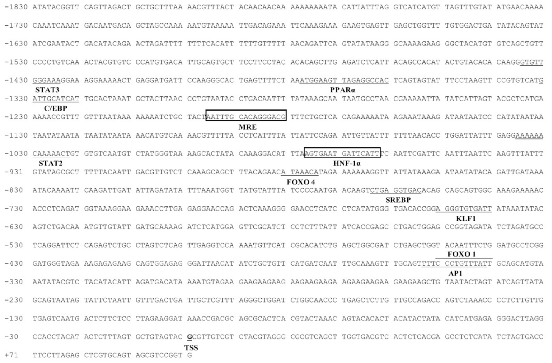 Ijms 22 06291 g002 Ijms 22 06291 g002