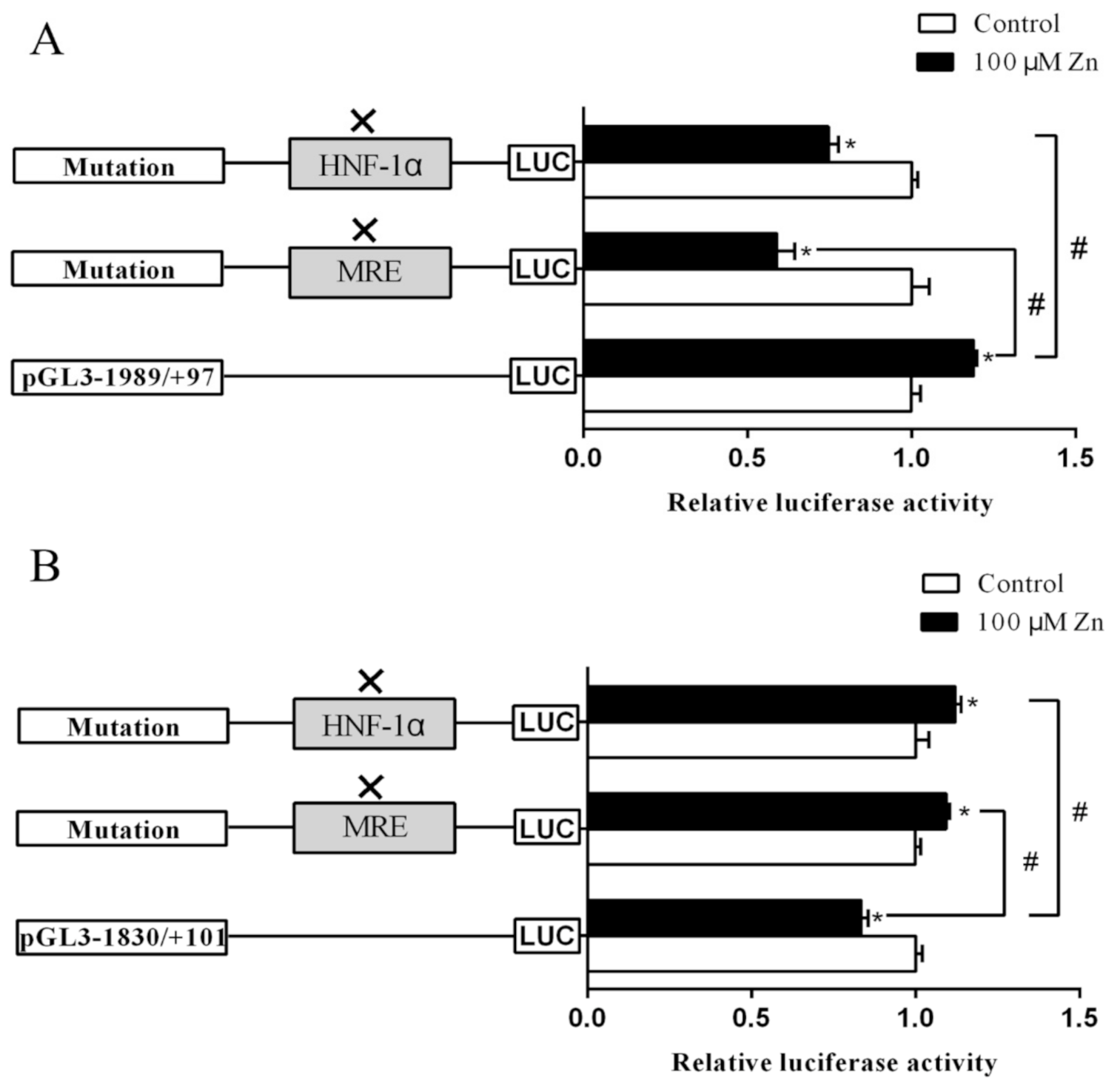 Ijms 22 06291 g004 Ijms 22 06291 g004
