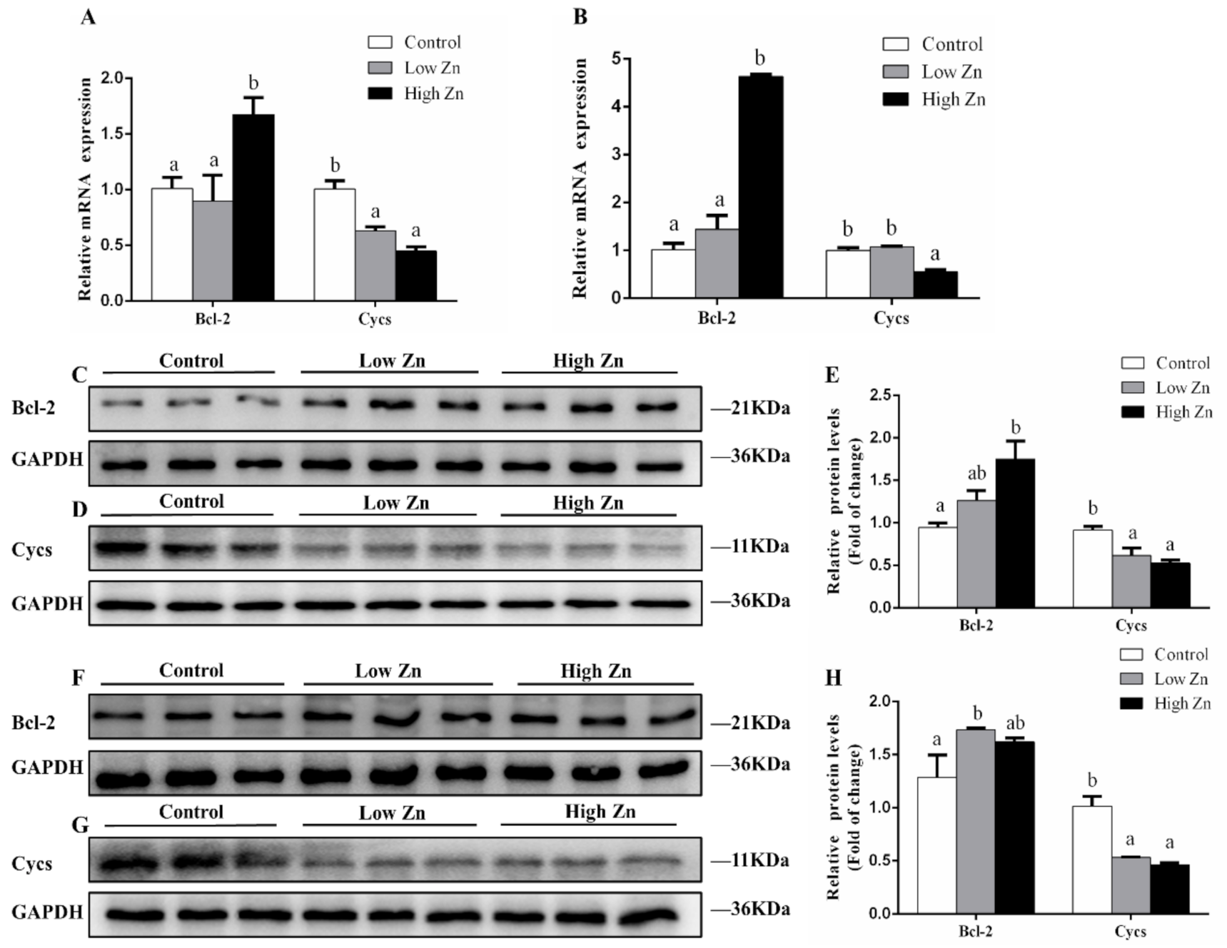 Ijms 22 06291 g006 Ijms 22 06291 g006