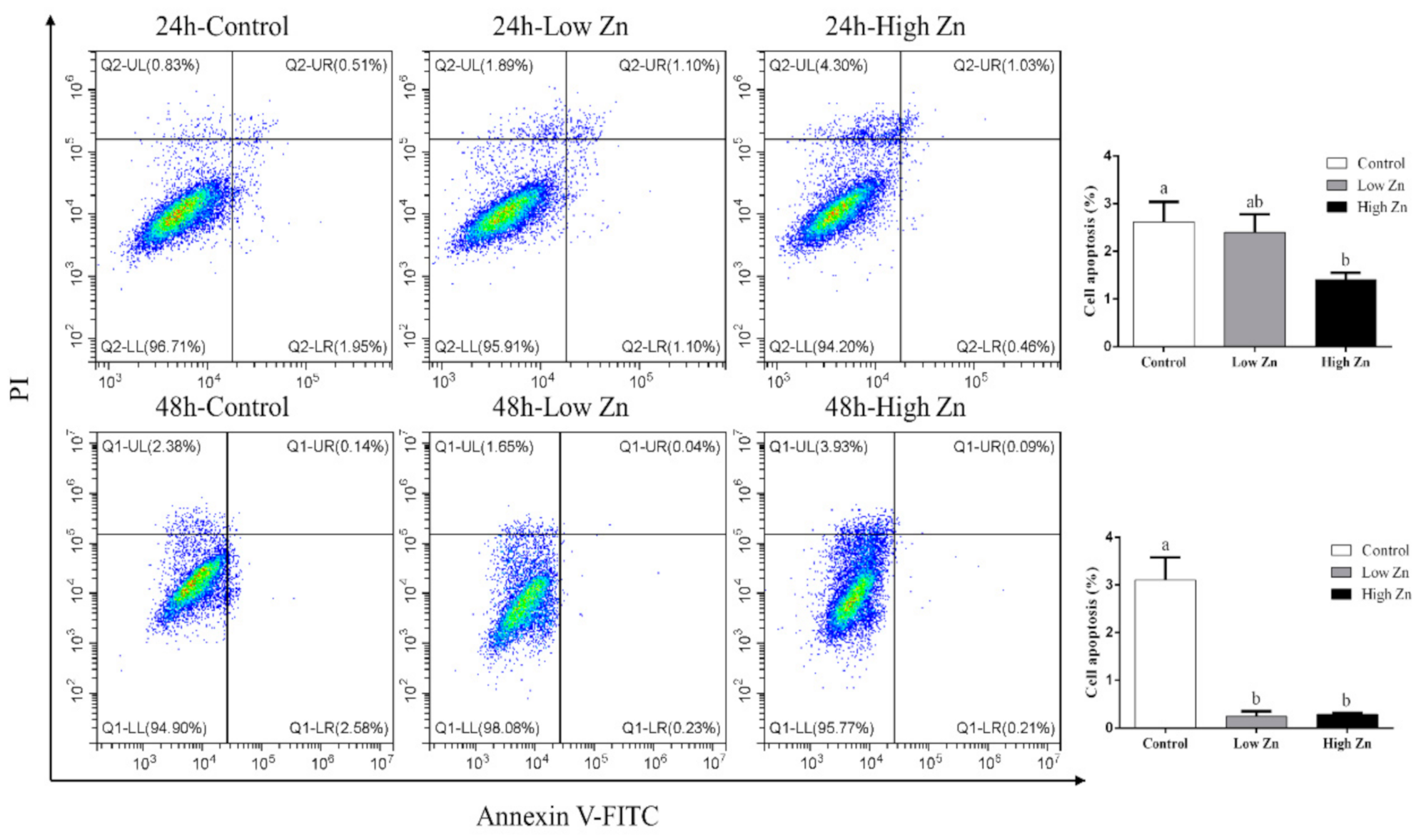 Ijms 22 06291 g007 Ijms 22 06291 g007