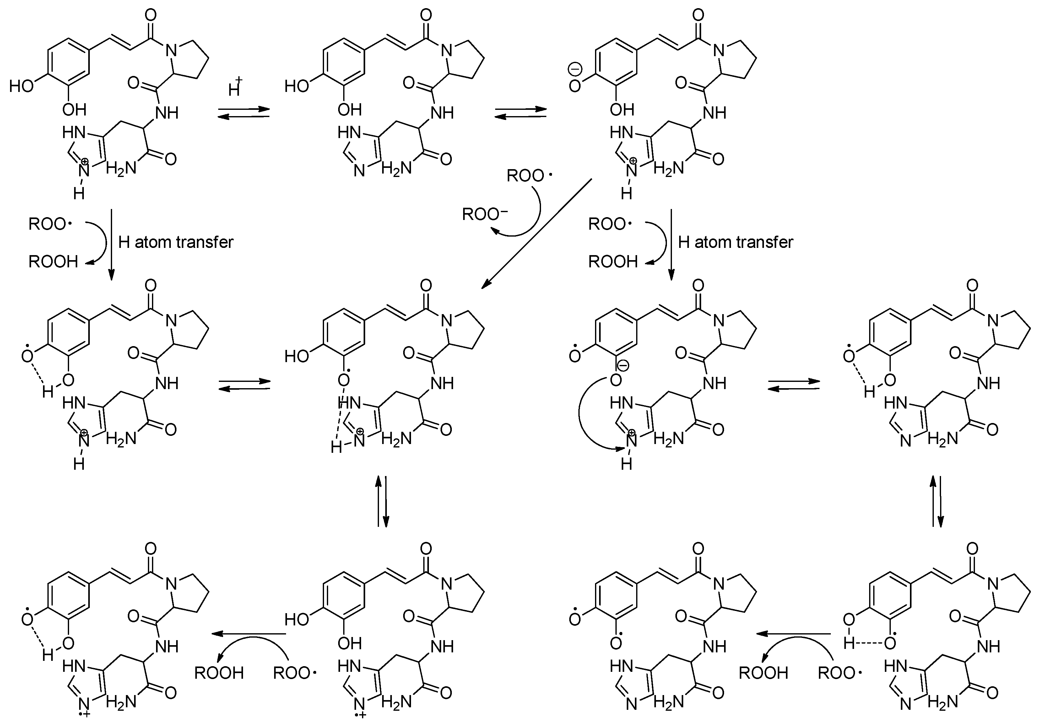 Ijms 22 06301 g001 Ijms 22 06301 g001