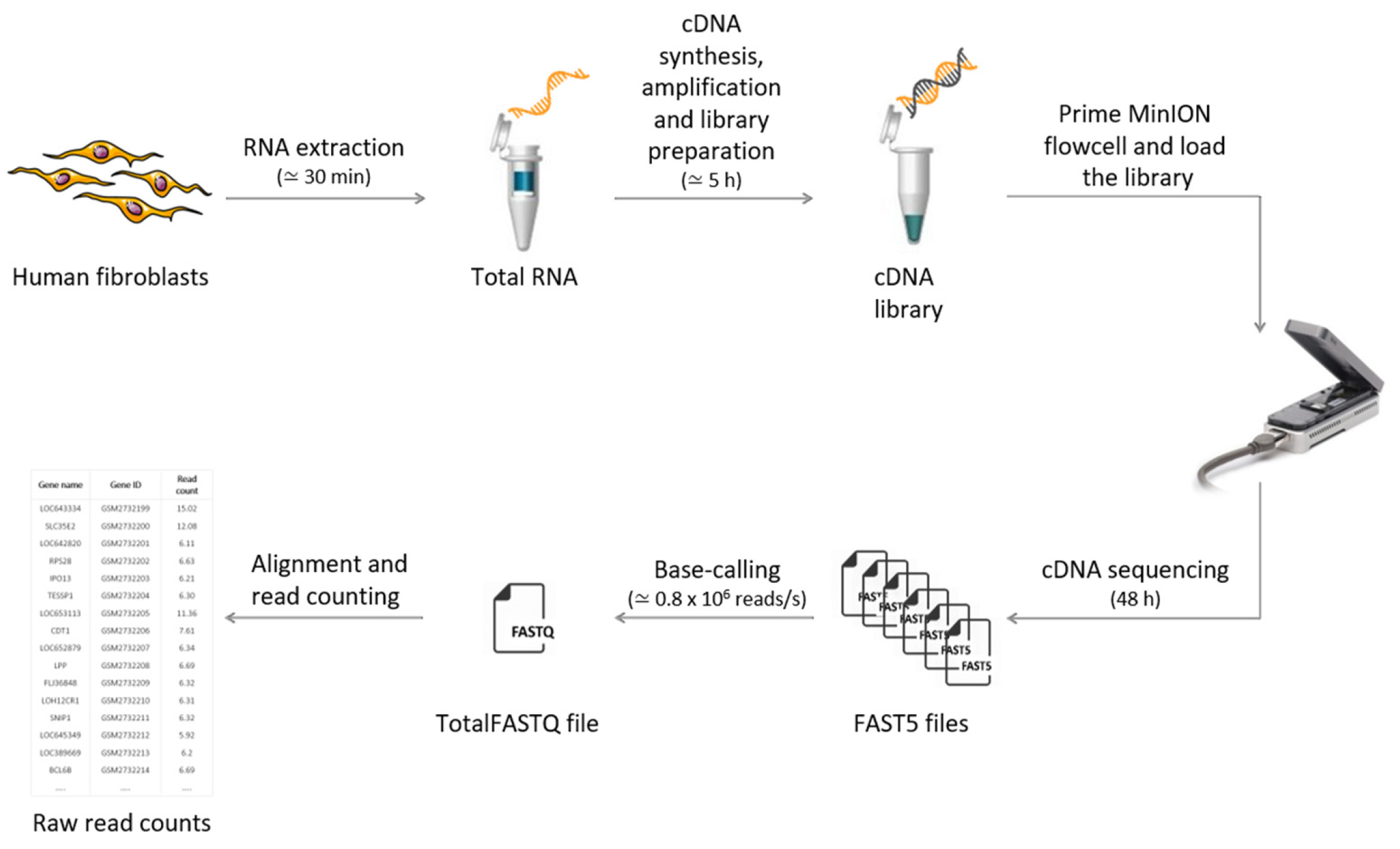 Monica intersección Admisión IJMS | Free Full-Text | Evaluation of Oxford Nanopore MinION RNA-Seq  Performance for Human Primary Cells