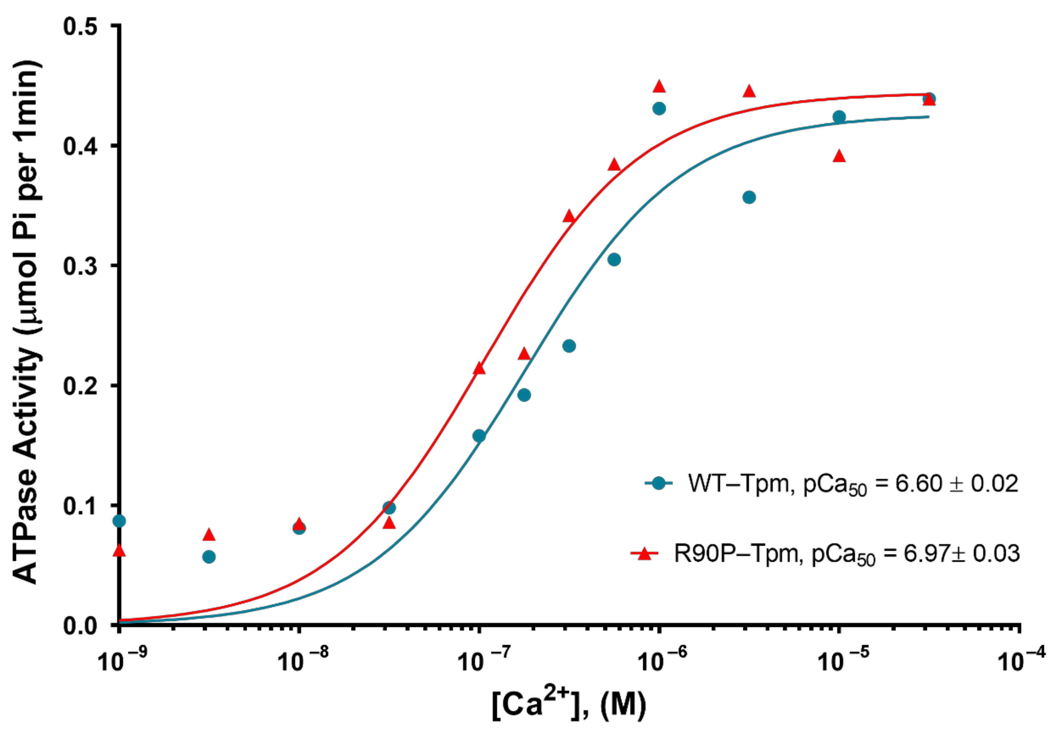 Ijms 22 06318 g002 Ijms 22 06318 g002