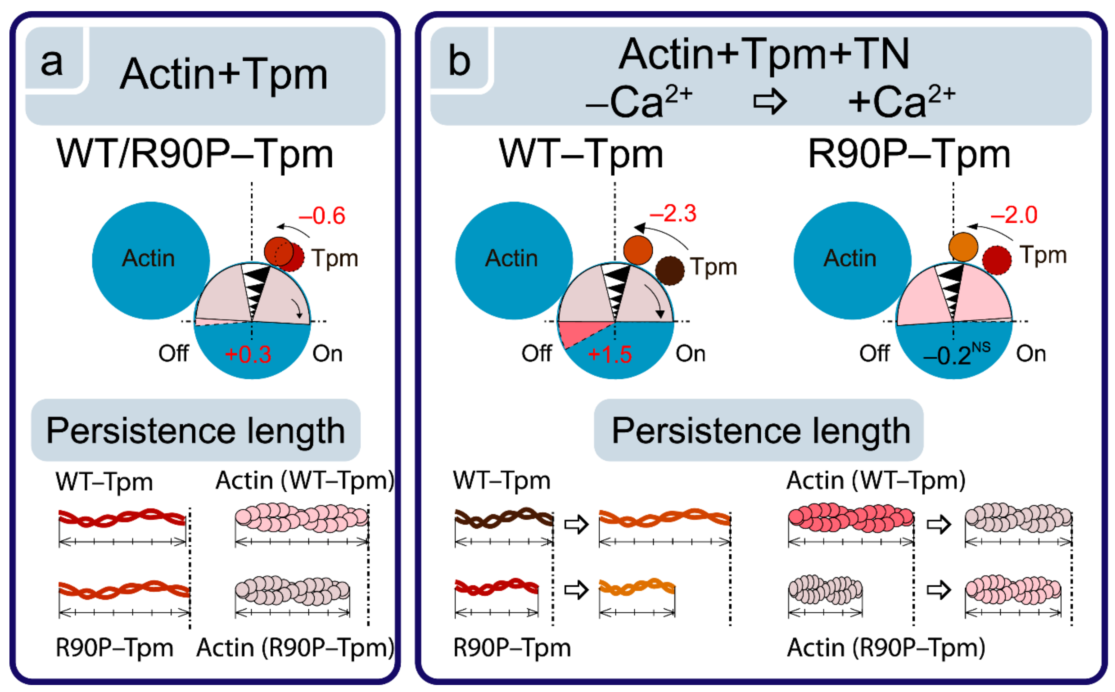Ijms 22 06318 g005 Ijms 22 06318 g005