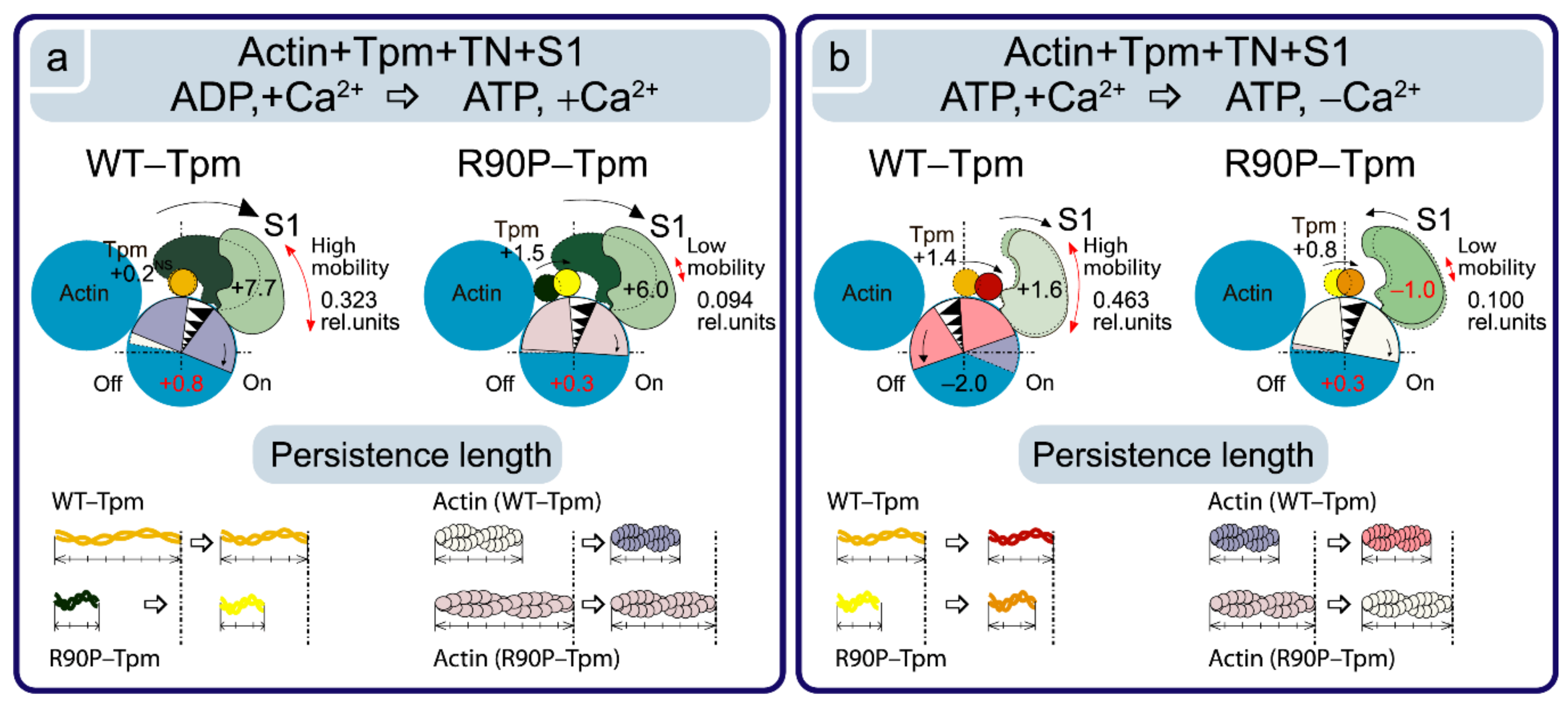 Ijms 22 06318 g006 Ijms 22 06318 g006
