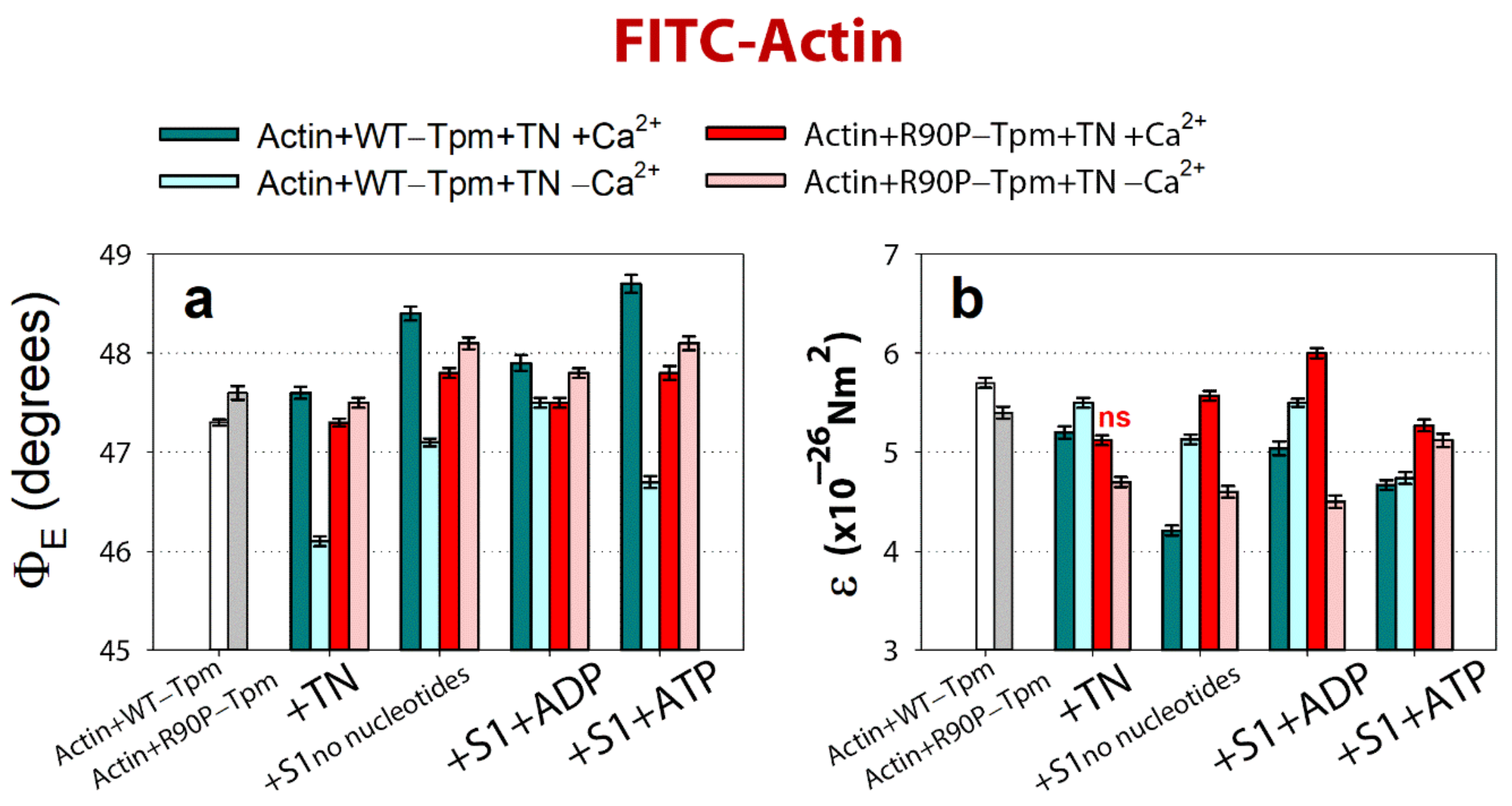 Ijms 22 06318 g007 Ijms 22 06318 g007