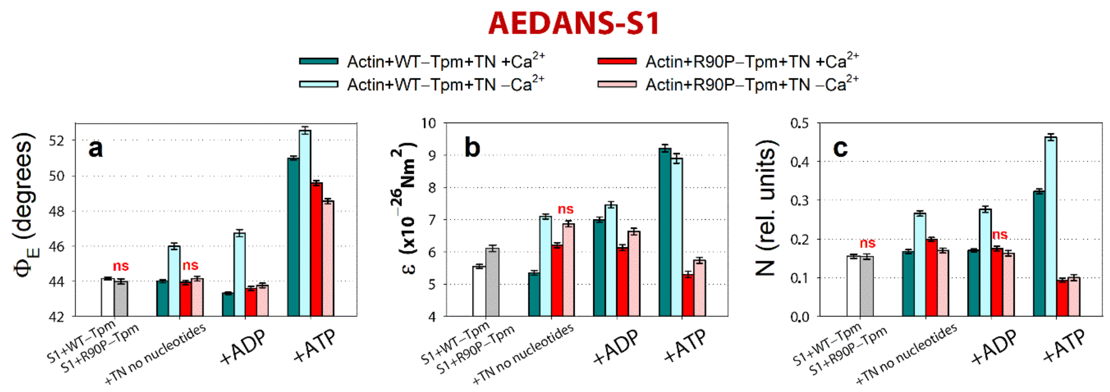 Ijms 22 06318 g008 Ijms 22 06318 g008