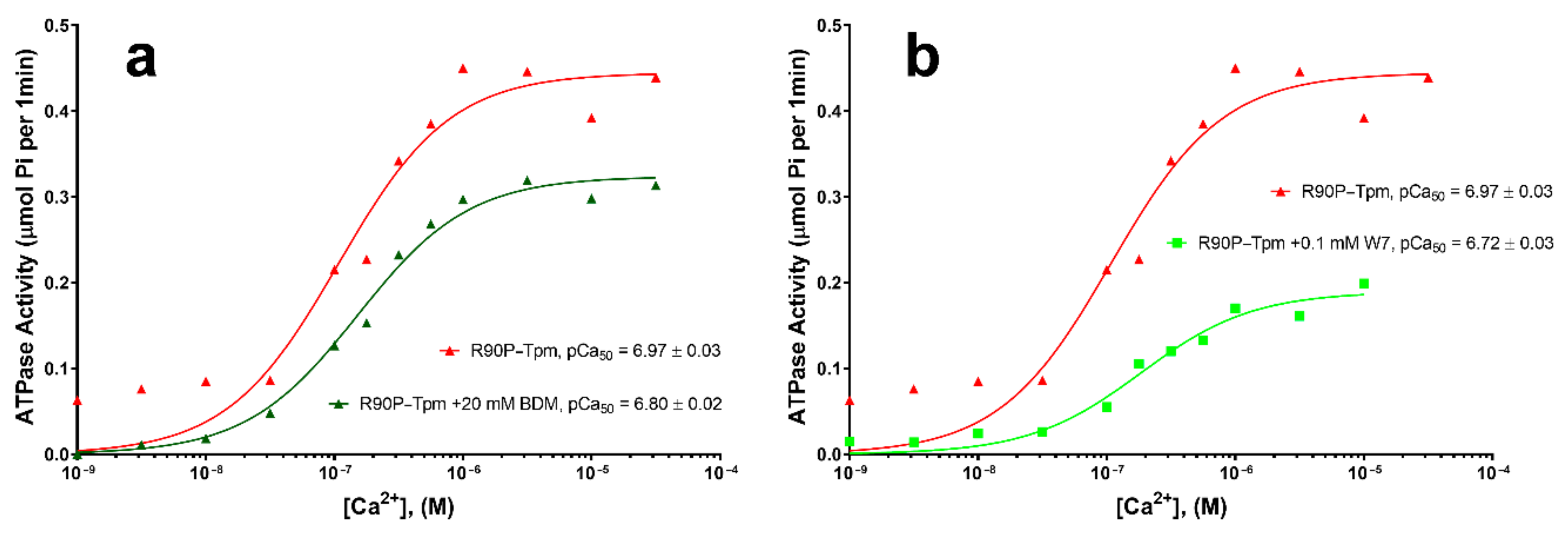 Ijms 22 06318 g009 Ijms 22 06318 g009