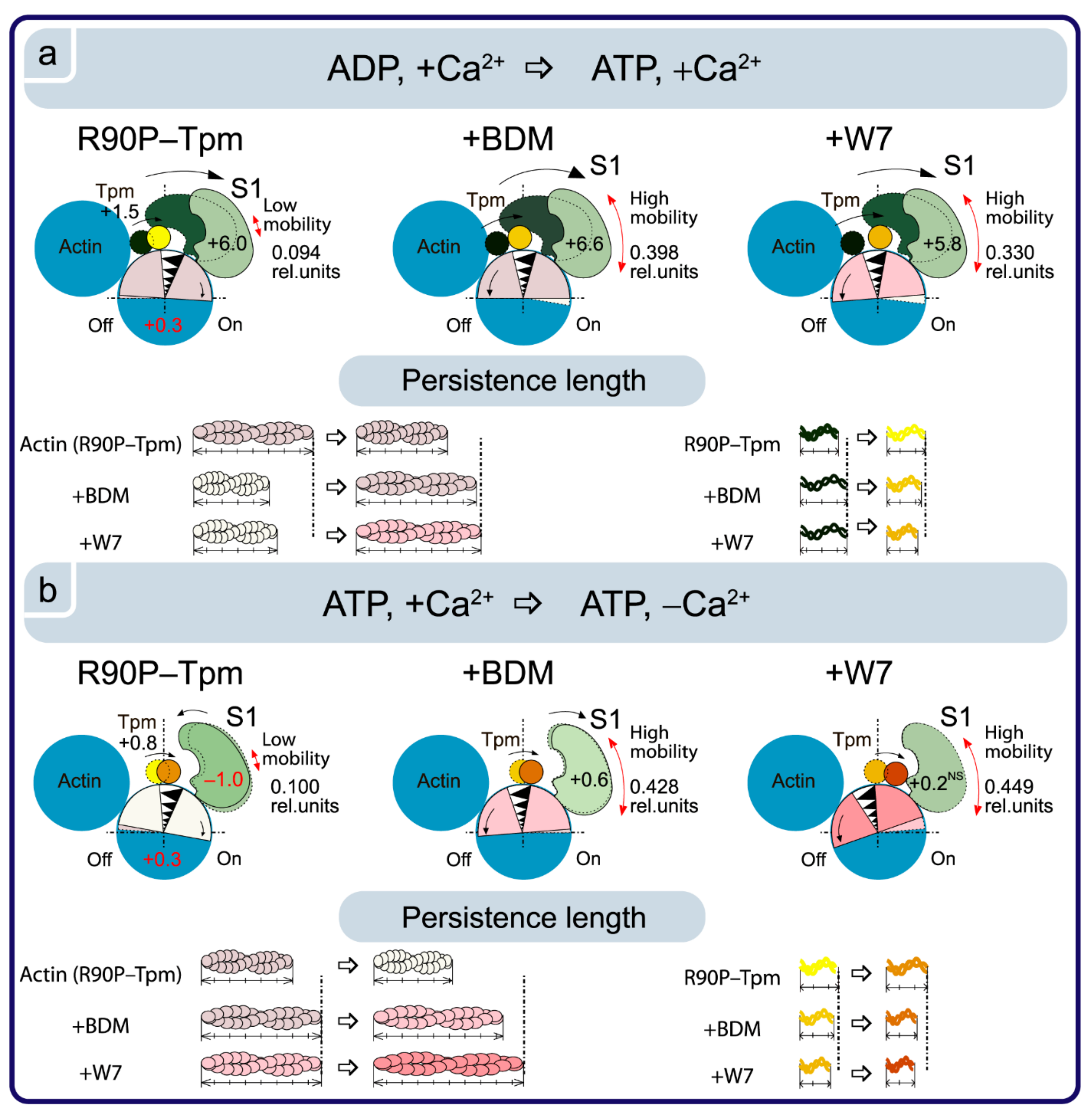 Ijms 22 06318 g012 Ijms 22 06318 g012