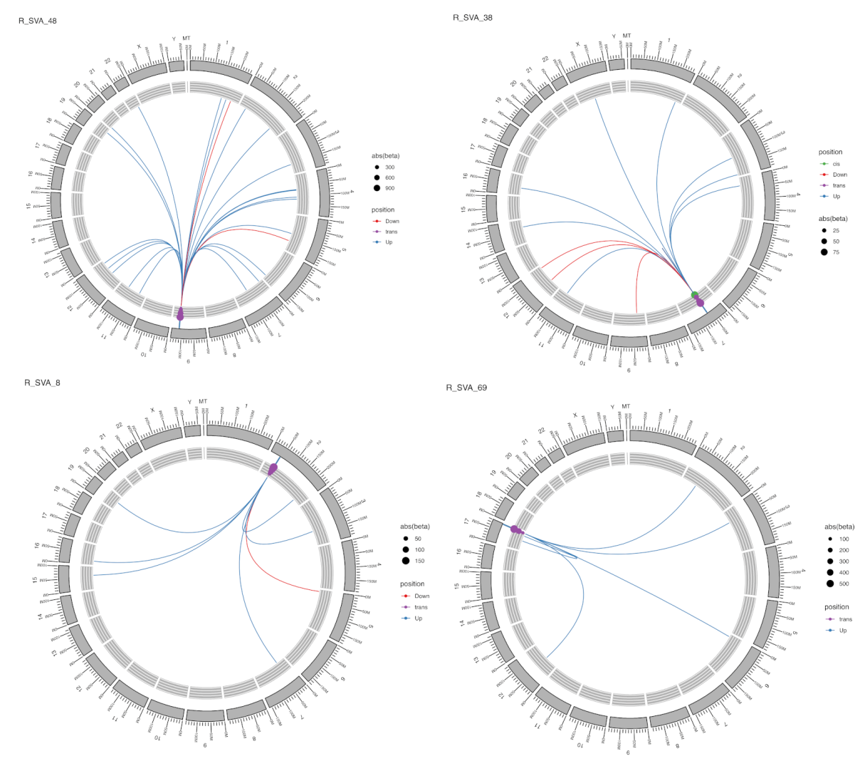 Ijms 22 06319 g004 Ijms 22 06319 g004