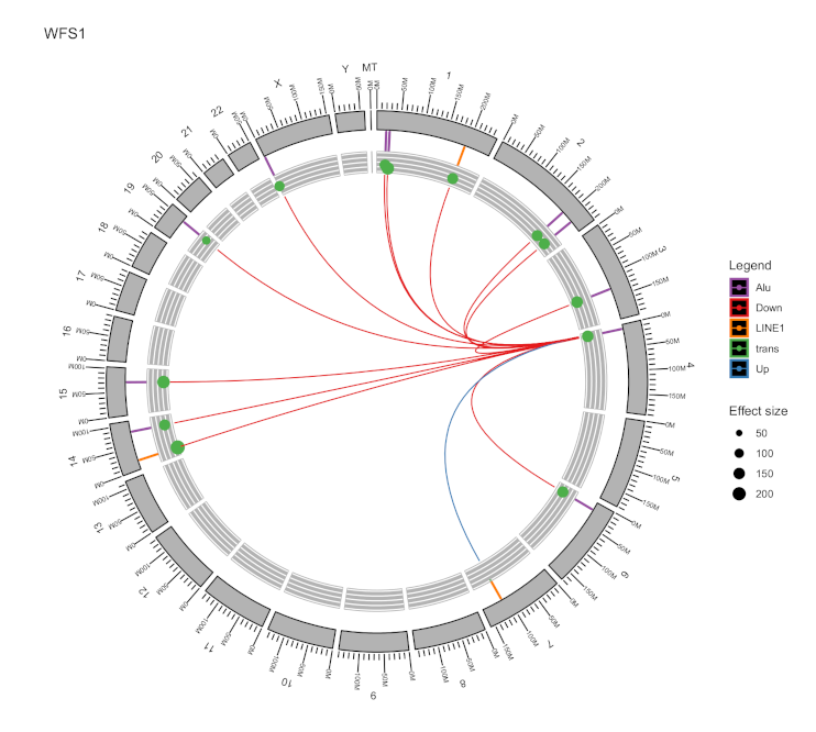Ijms 22 06319 g010 Ijms 22 06319 g010