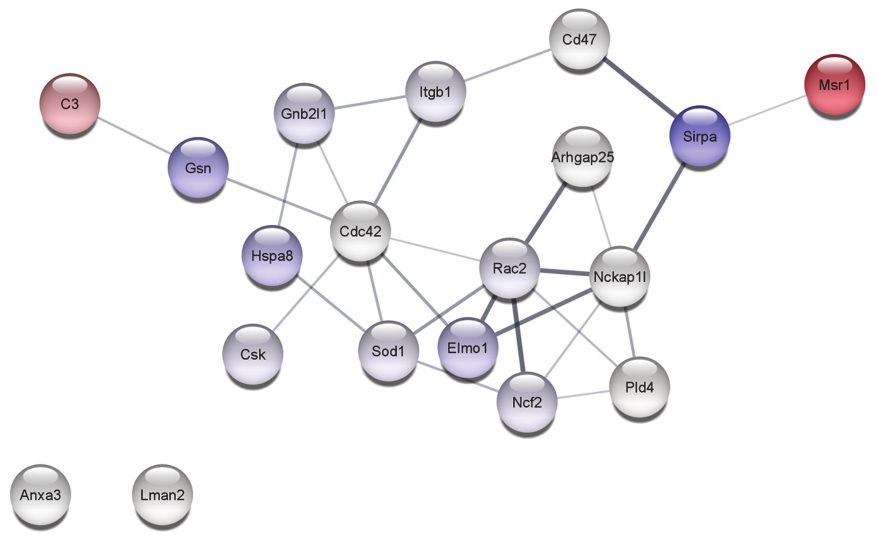 Ijms 22 06323 g003 Ijms 22 06323 g003