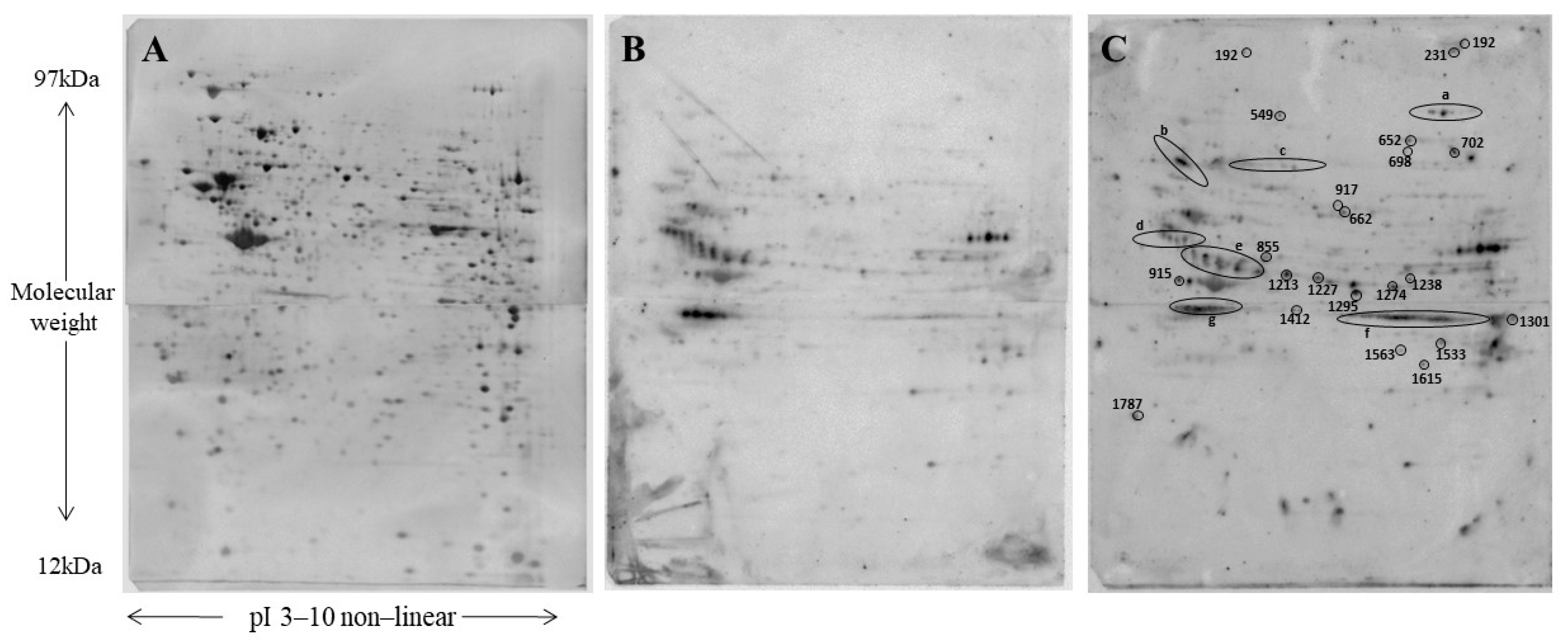 Ijms 22 06325 g001 Ijms 22 06325 g001