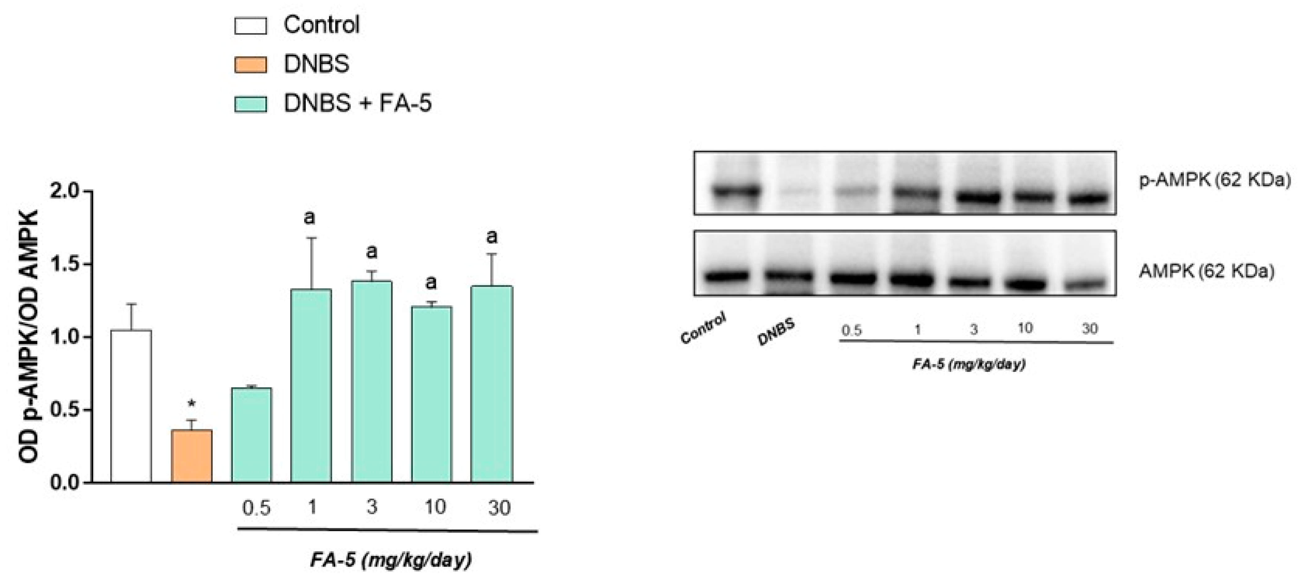 Ijms 22 06325 g005 Ijms 22 06325 g005