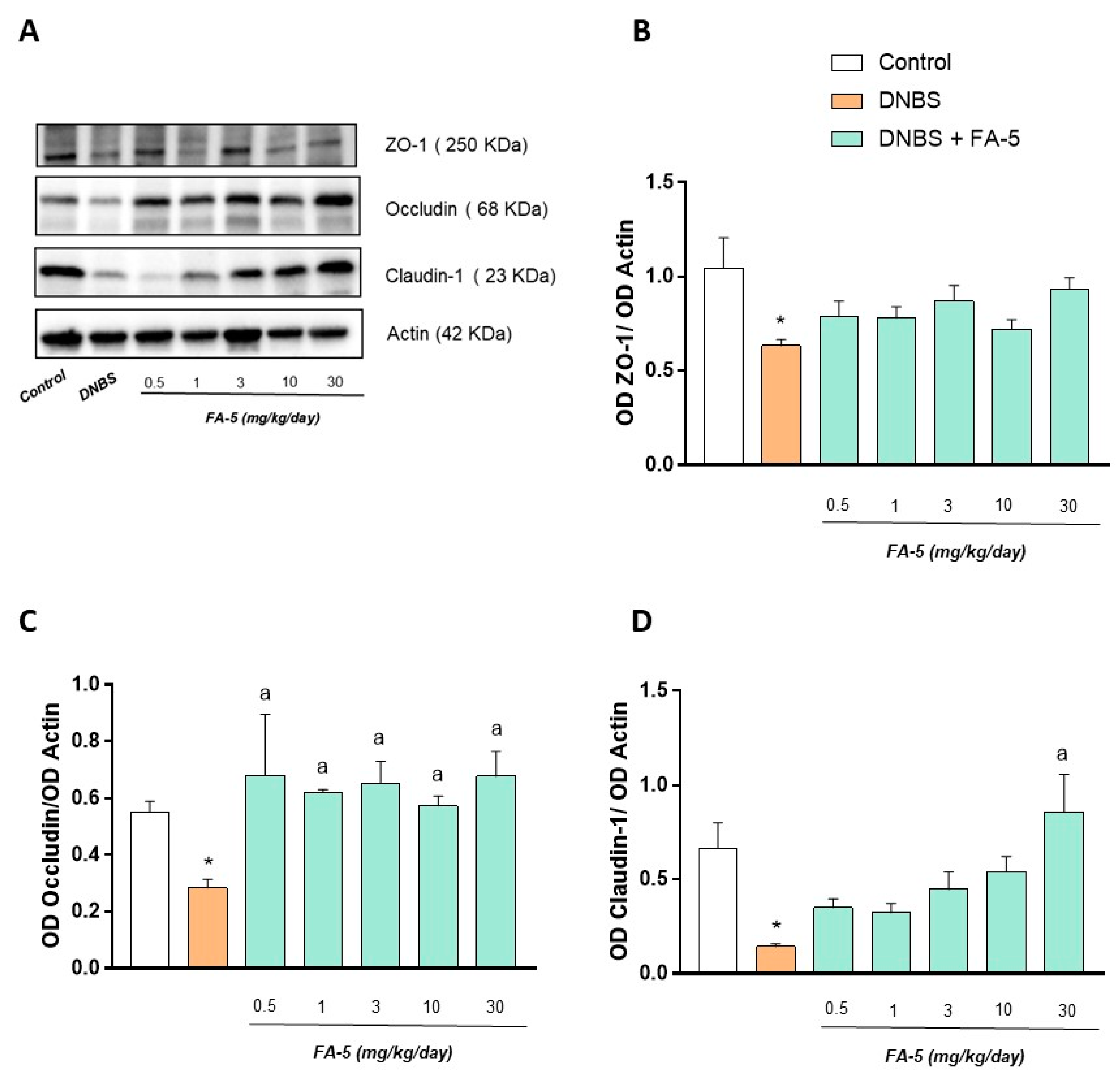 Ijms 22 06325 g006 Ijms 22 06325 g006