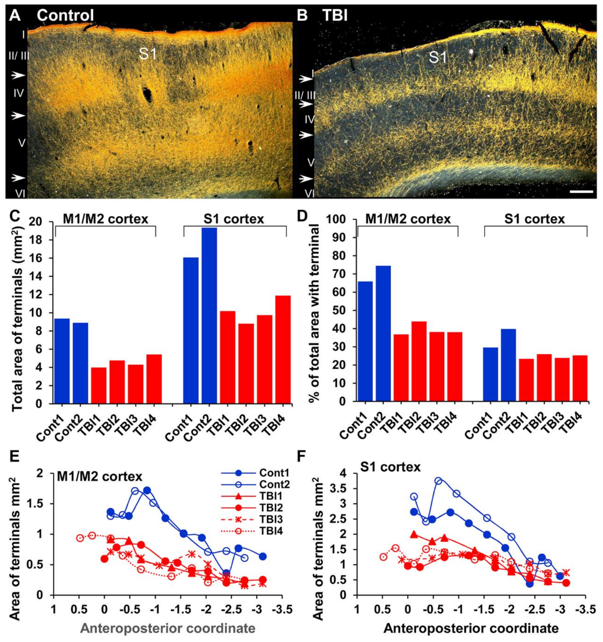 Ijms 22 06329 g005 Ijms 22 06329 g005