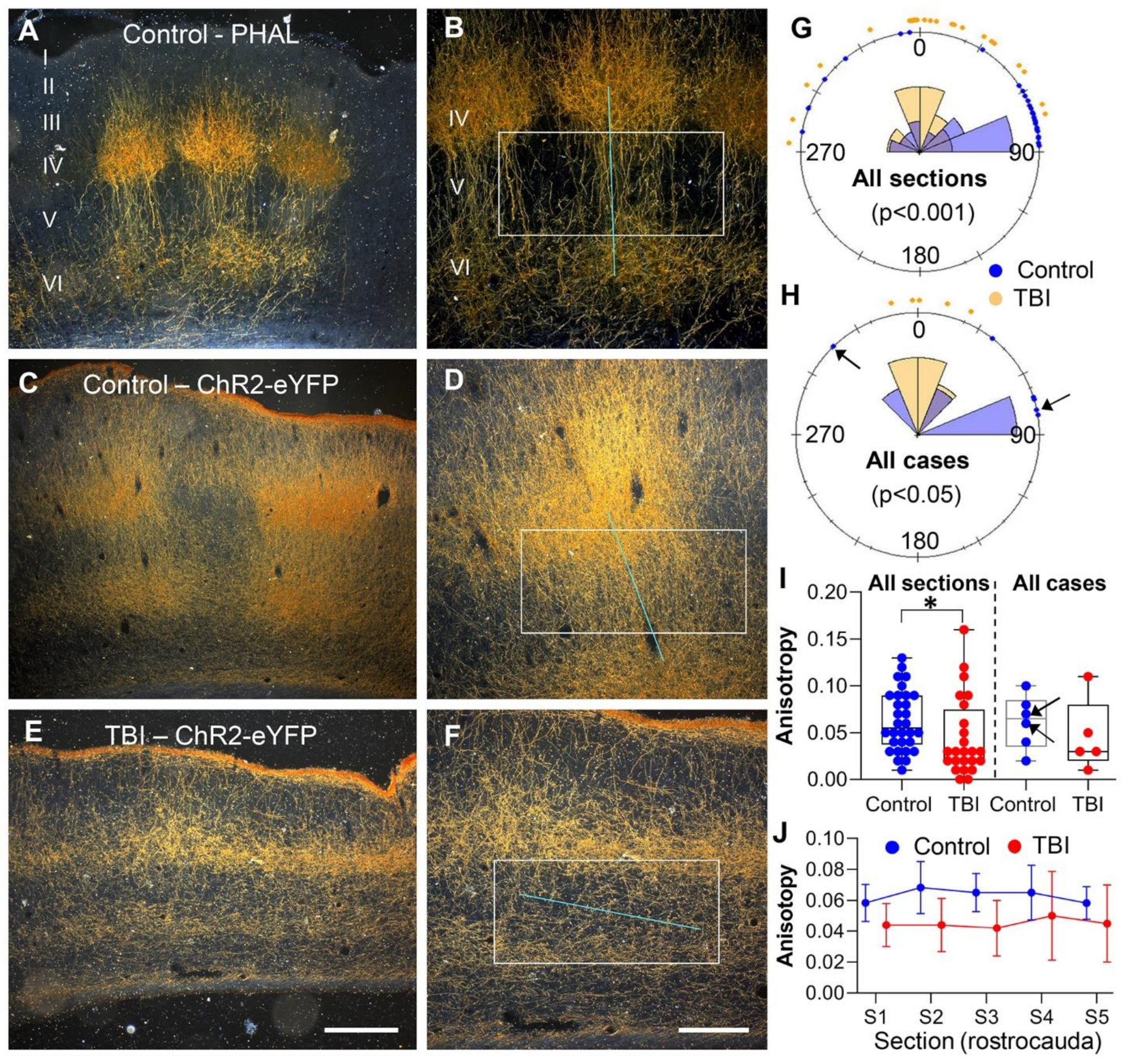 Ijms 22 06329 g006 Ijms 22 06329 g006