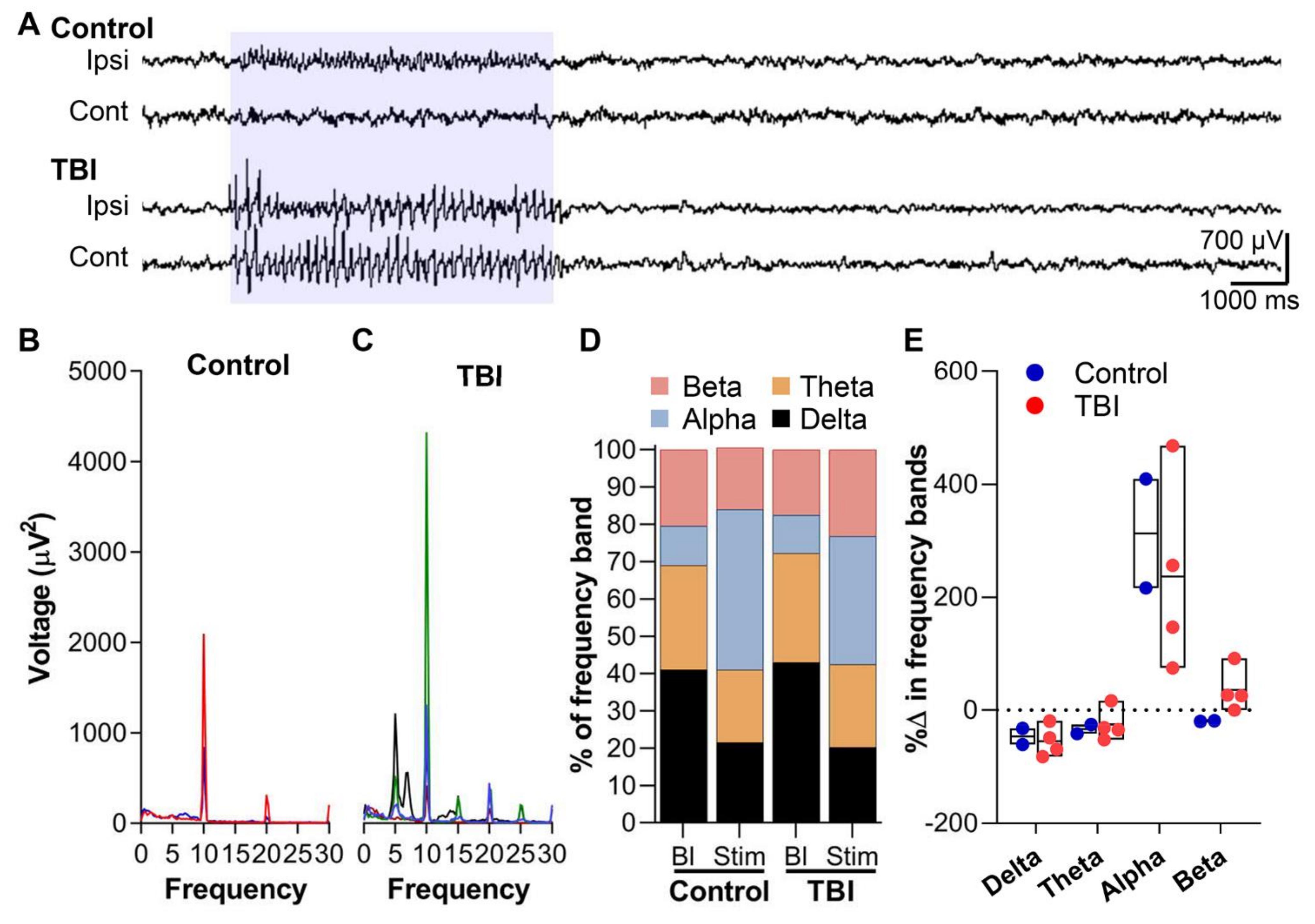 Ijms 22 06329 g007 Ijms 22 06329 g007