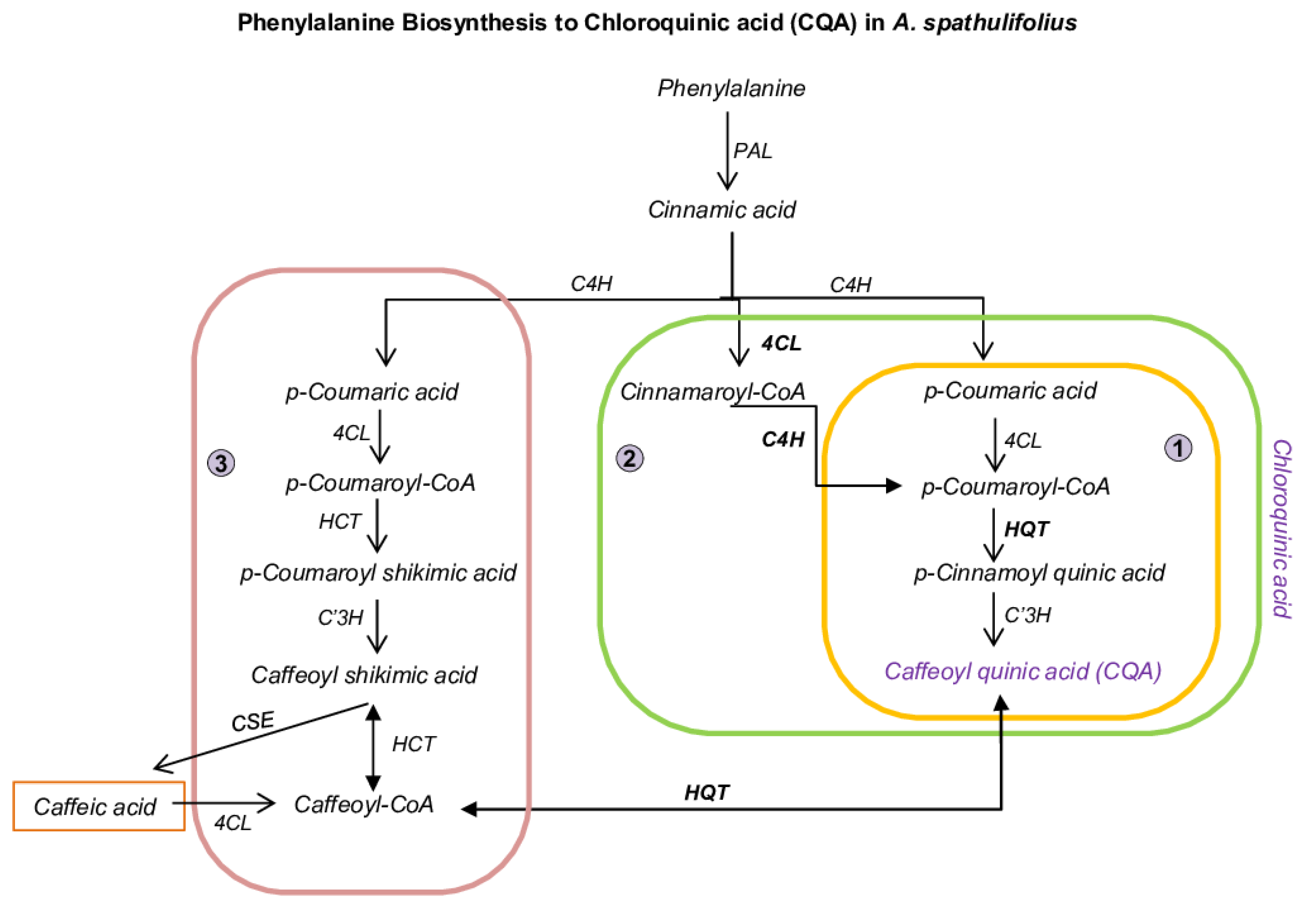 Ijms 22 06333 g001 Ijms 22 06333 g001