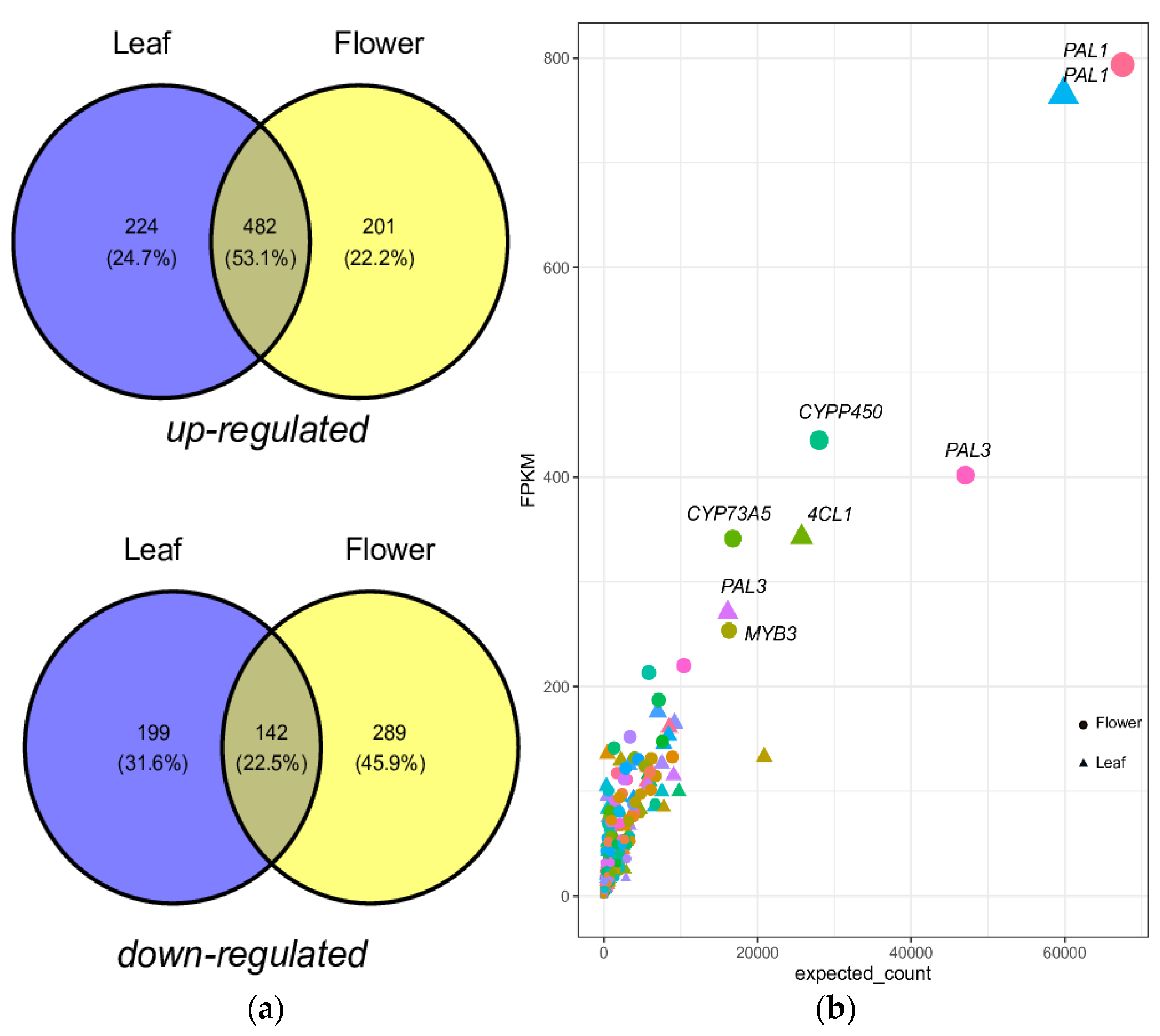 Ijms 22 06333 g002 Ijms 22 06333 g002