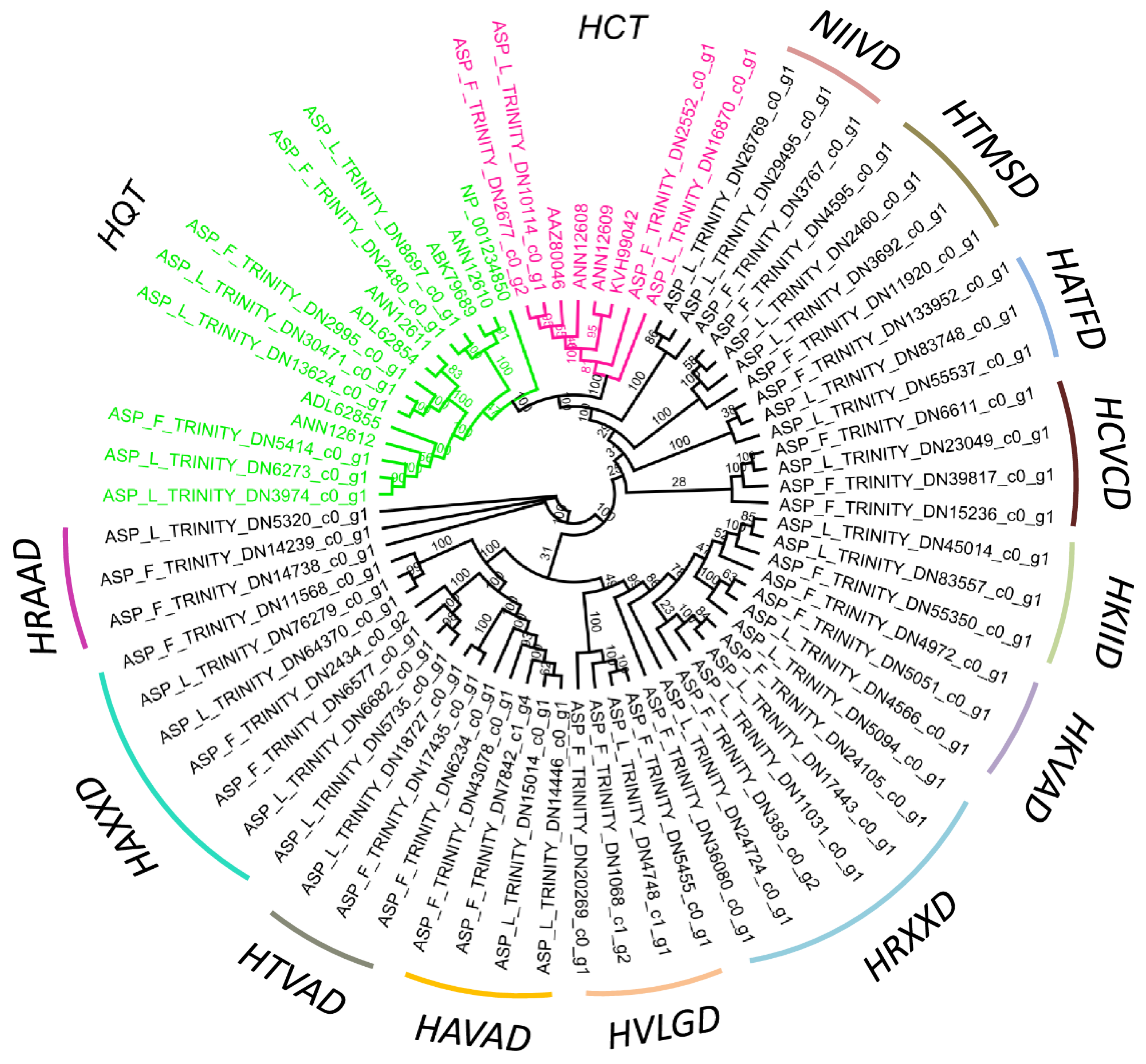 Ijms 22 06333 g004 Ijms 22 06333 g004