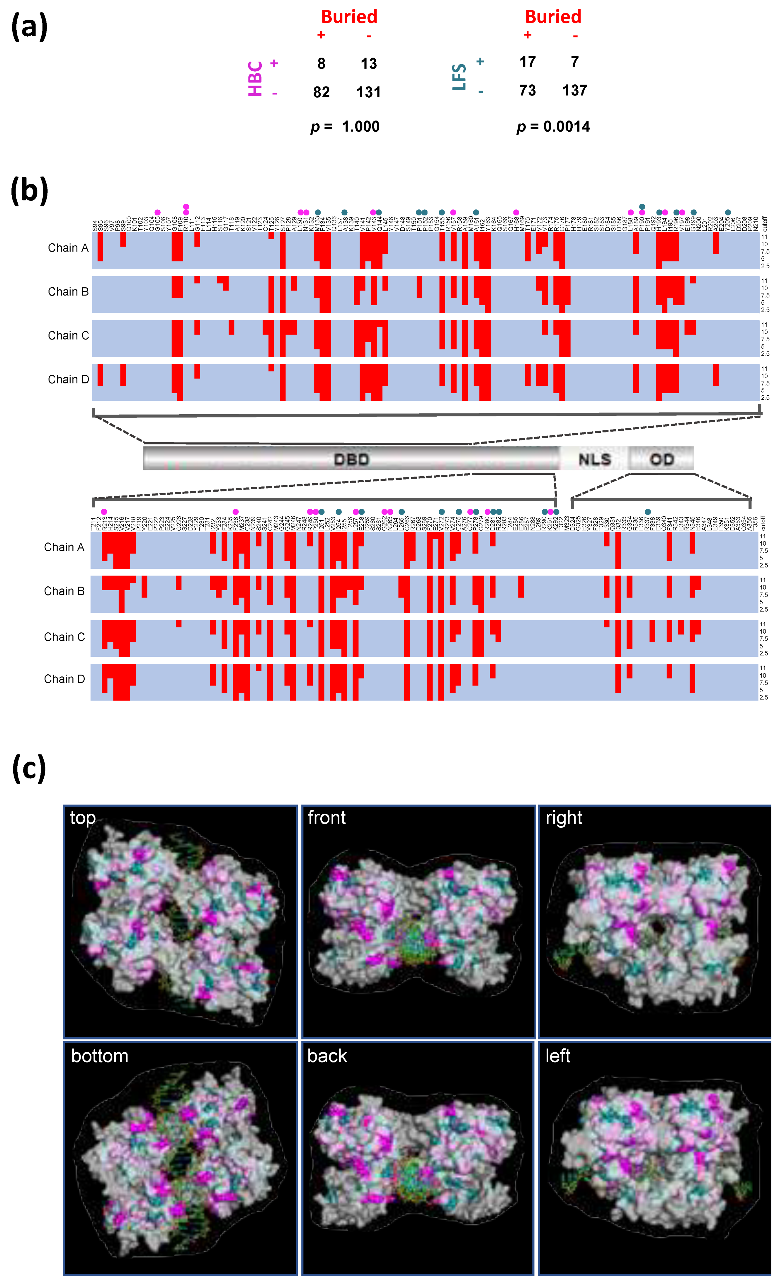 Ijms 22 06345 g002 Ijms 22 06345 g002