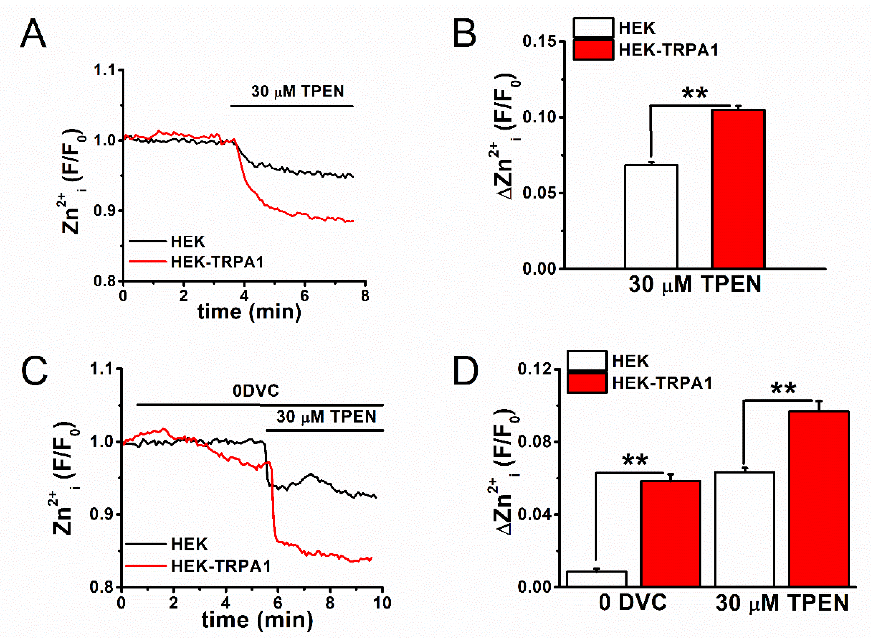 Ijms Free Full Text Hif 1a Dependent Upregulation Of Zip8 Zip14 And Trpa1 Modify Intracellular Zn2 Accumulation In Inflammatory Synoviocytes Html Ijms Free Full Text Hif 1a Dependent Upregulation Of Zip8 Zip14 And Trpa1 Modify Intracellular Zn2 Accumulation In Inflammatory Synoviocytes Html