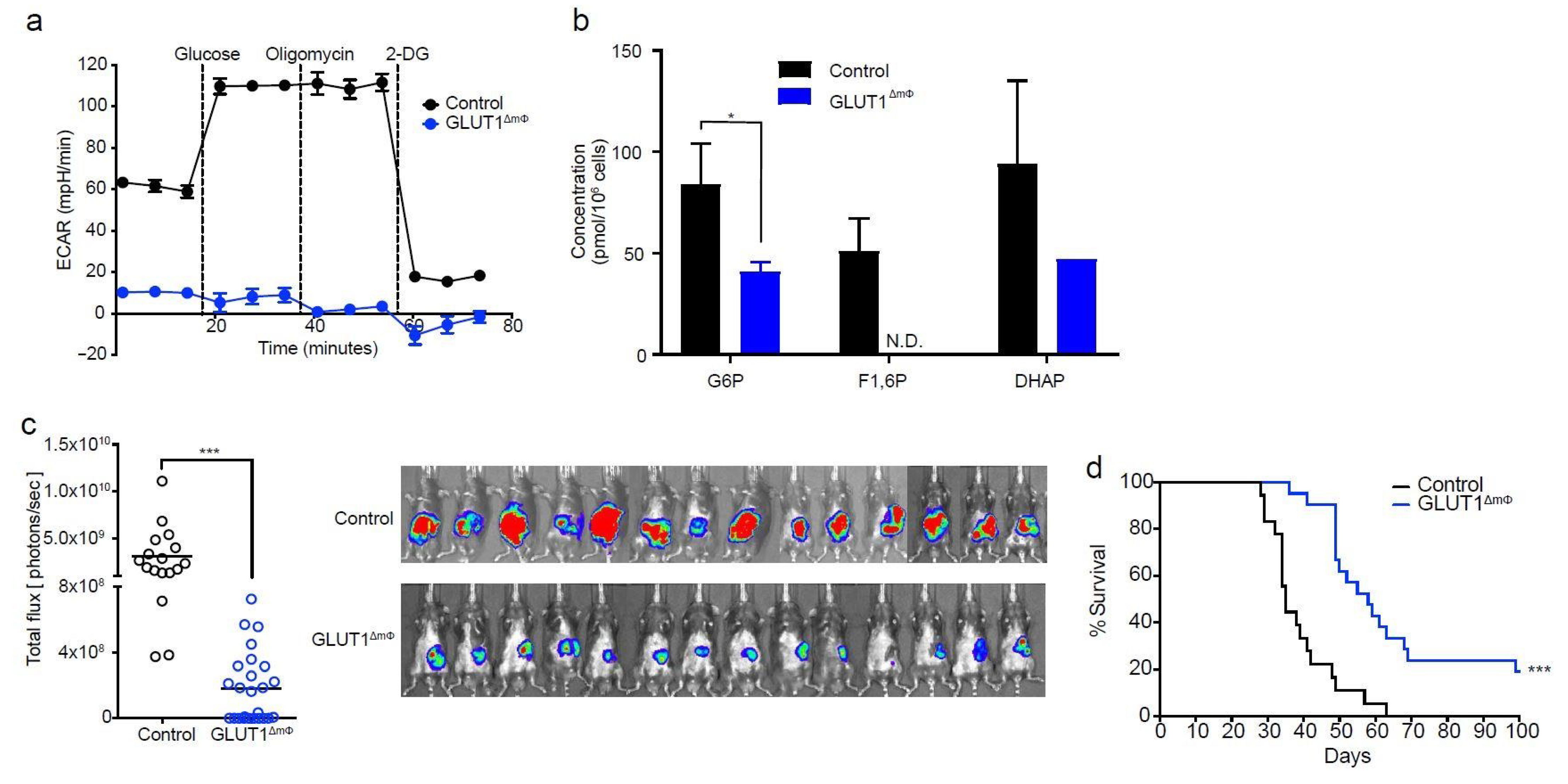 Ijms 22 06350 g002 Ijms 22 06350 g002